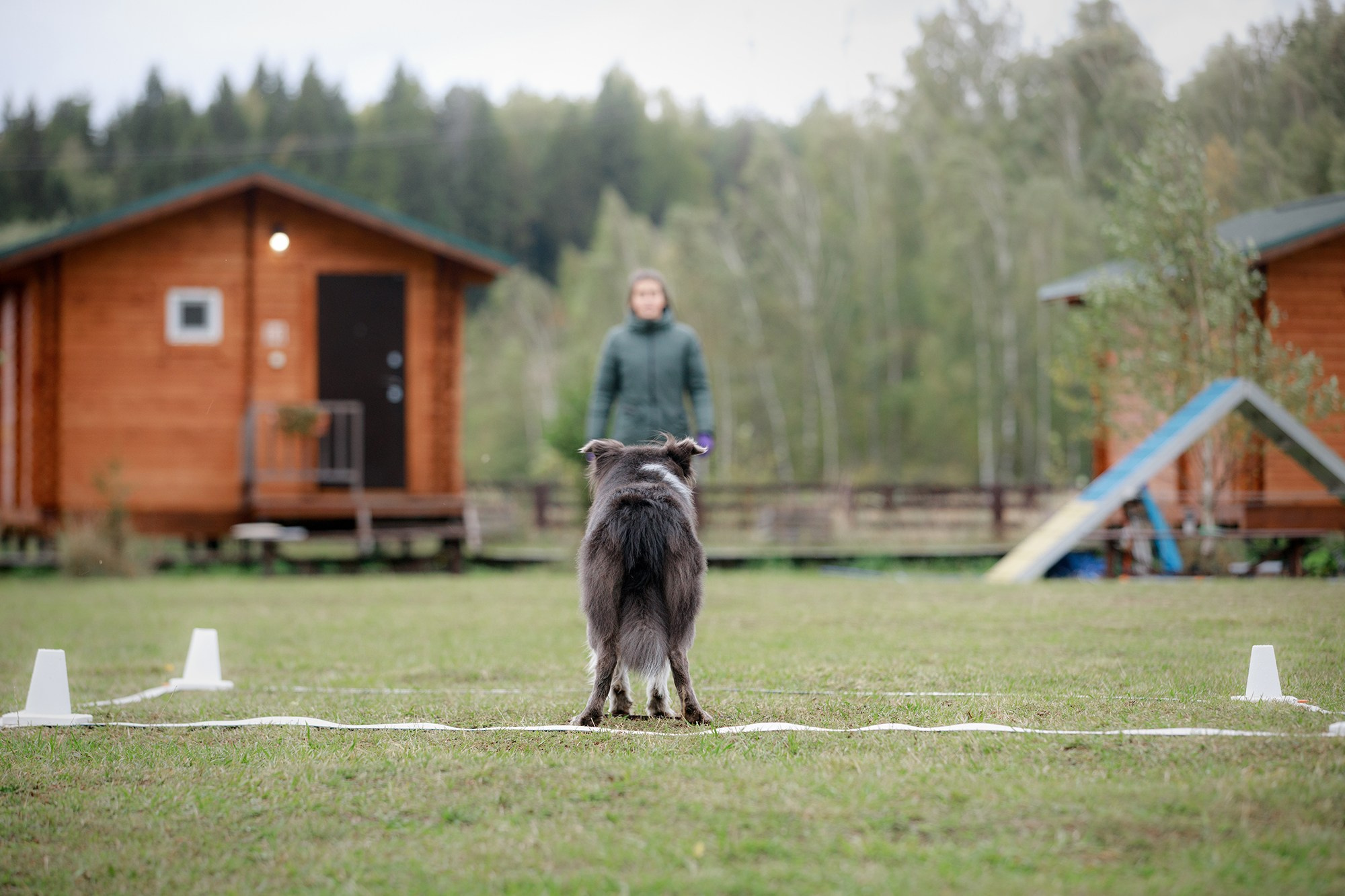 Лагерь по ОБД с Инной Баженовой. Фотограф-анималист Mary Mart — Москва, Питер