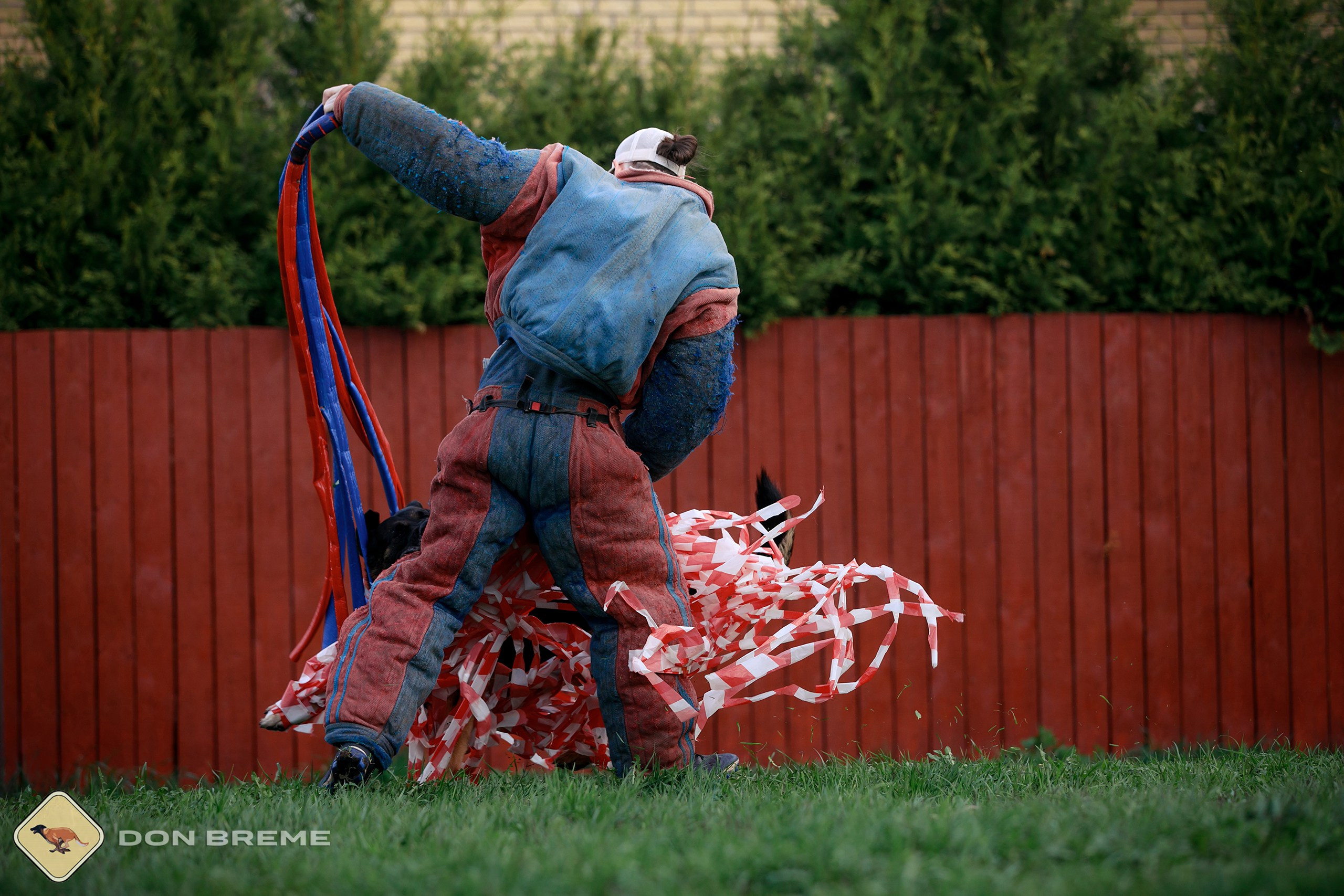 Семинар для фигурантов, день 2. Фотограф-анималист Mary Mart — Москва, Питер