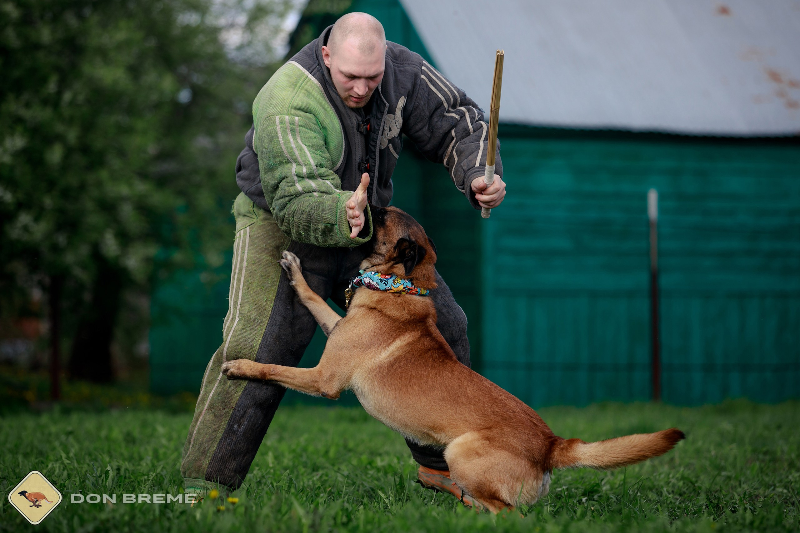Семинар для фигурантов, день 2. Фотограф-анималист Mary Mart — Москва, Питер