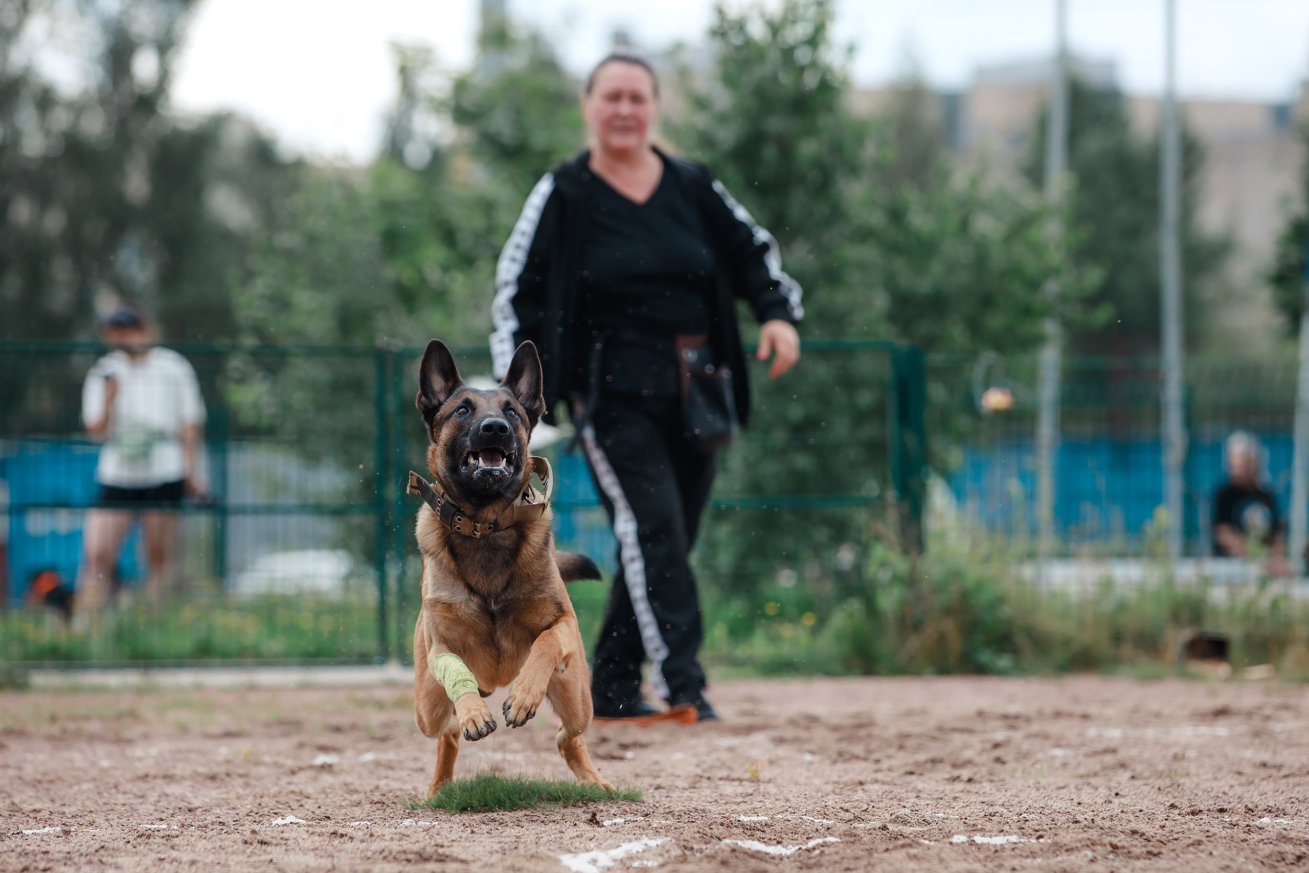 Питч&Гоу + веселые старты. Фотограф-анималист Mary Mart — Москва, Питер