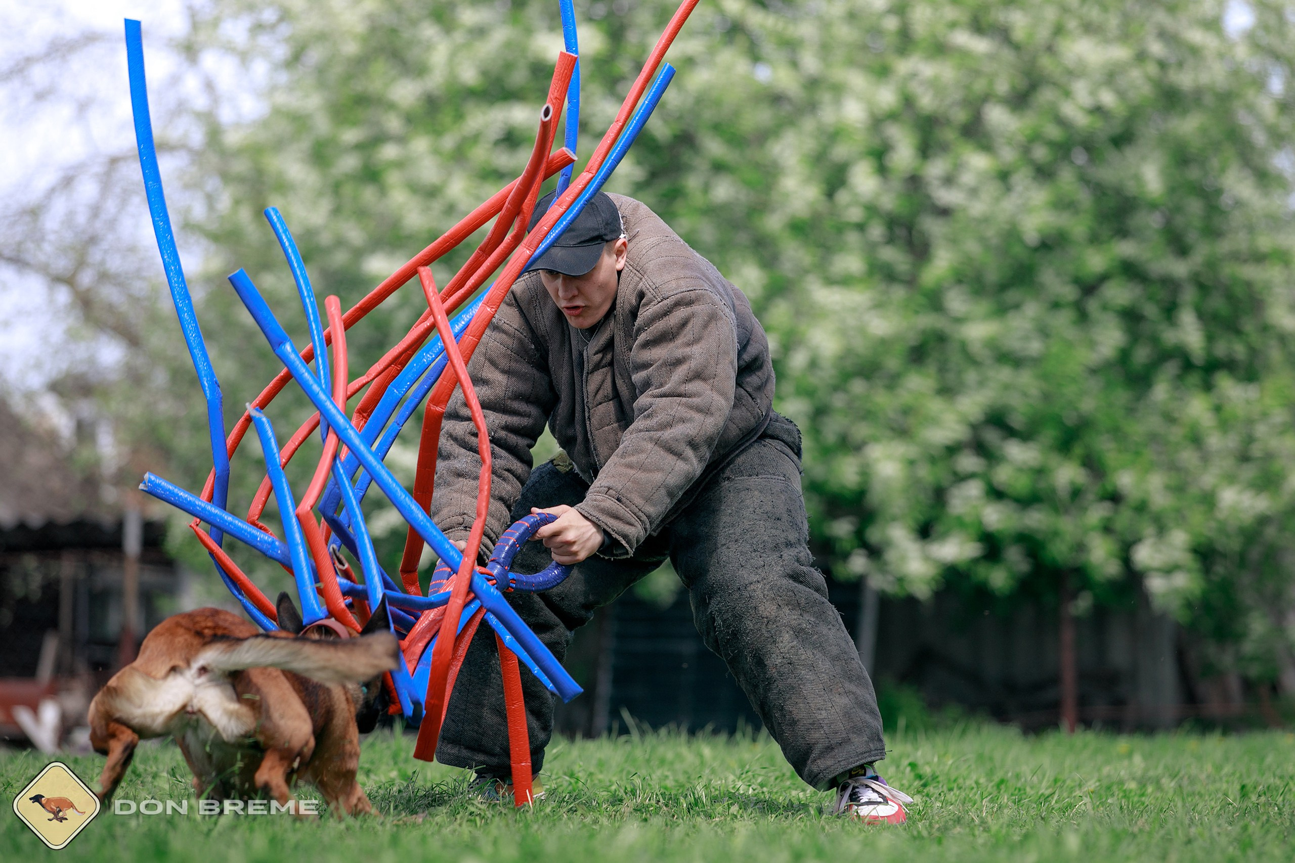 Семинар для фигурантов, день 4. Фотограф-анималист Mary Mart — Москва, Питер