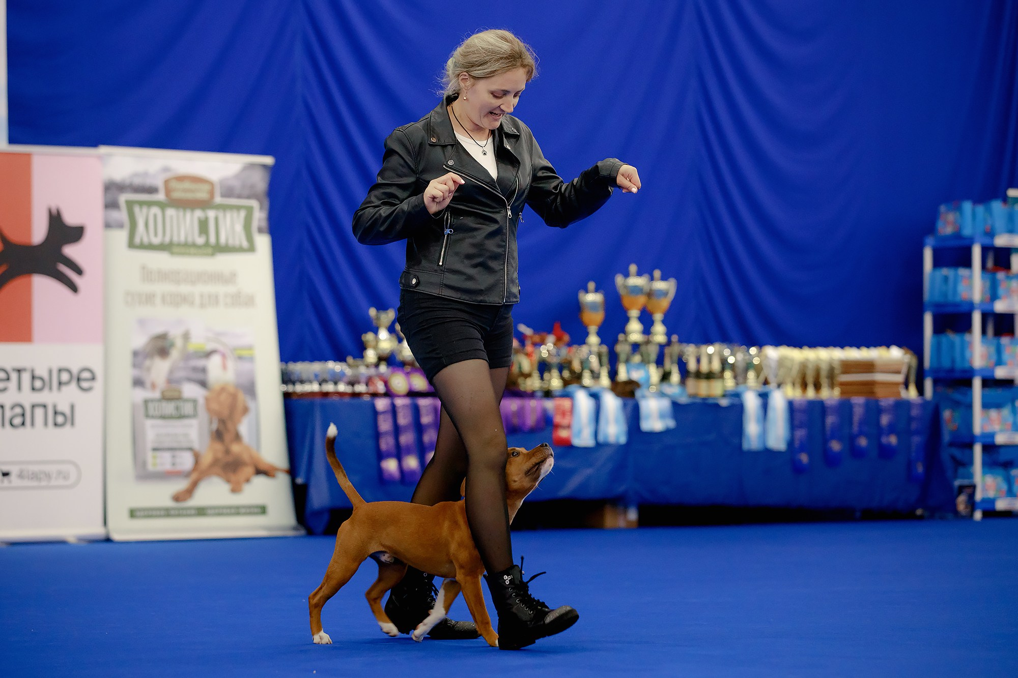 Танцы на выставке «Зоошоу», СПб. Фотограф-анималист Mary Mart — Москва, Питер