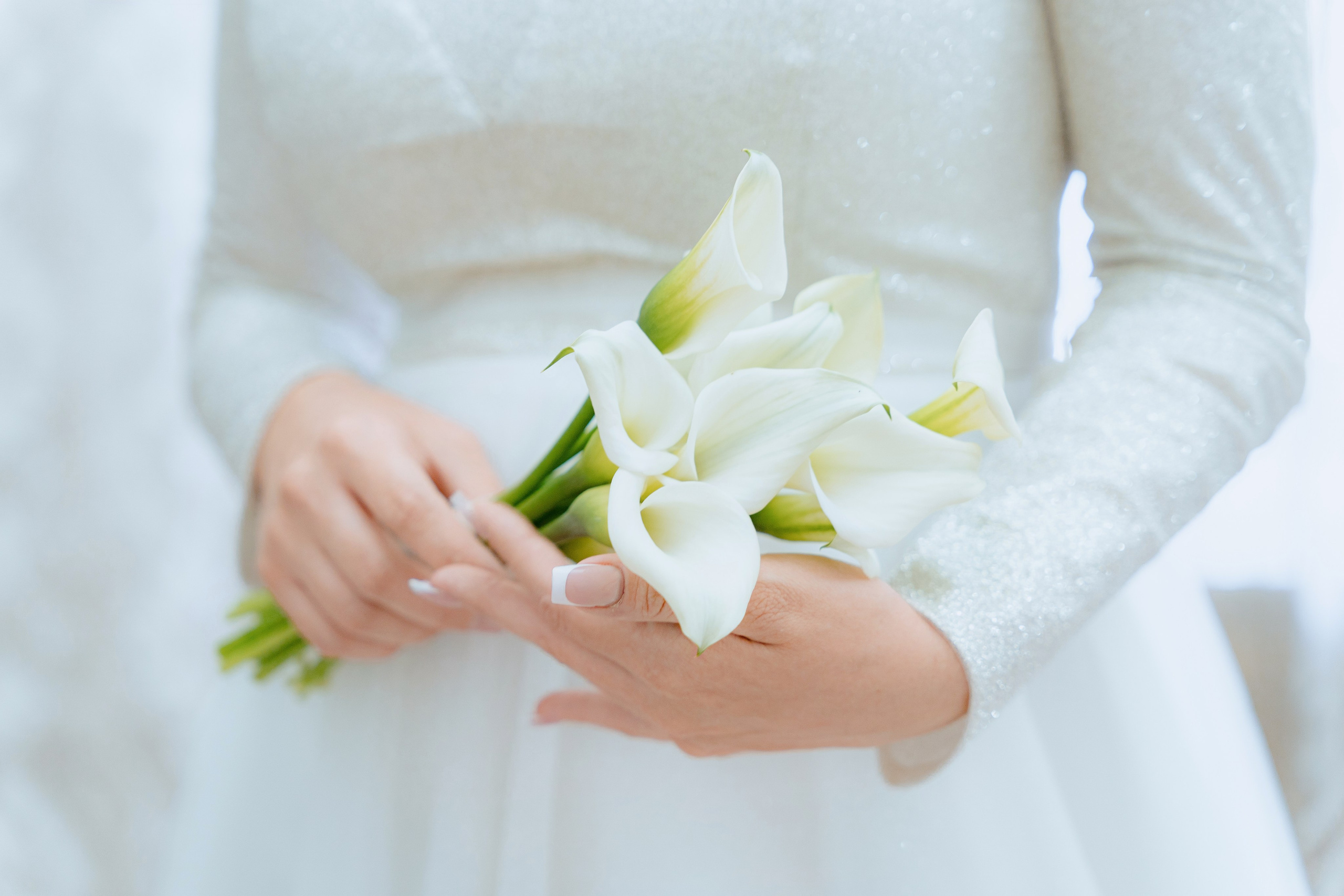 Роман и Елизавета