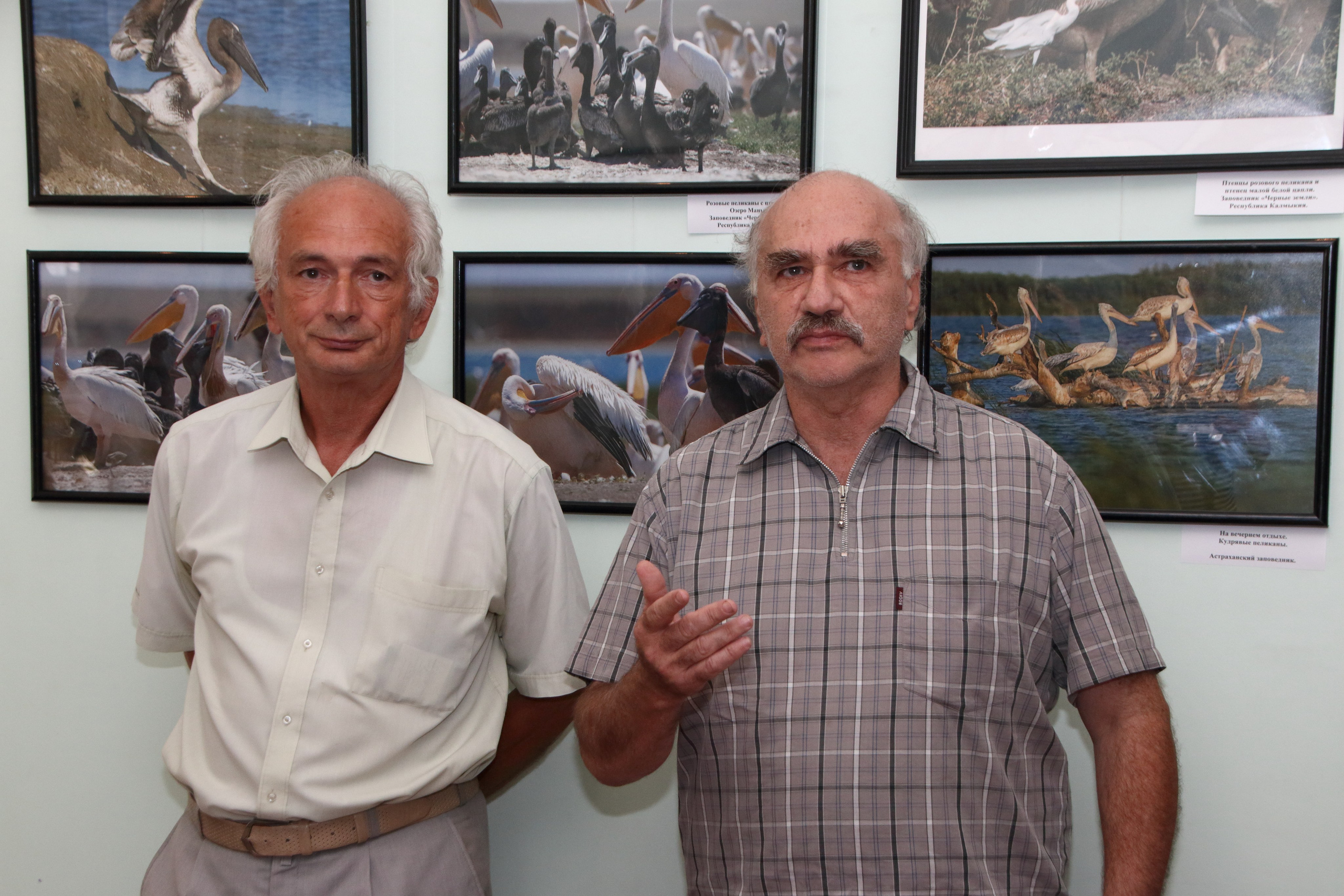 24.08.2020 Выставка Владимира Рубинчика. Фотообъединение Самарского областного отделения Союза журналистов России