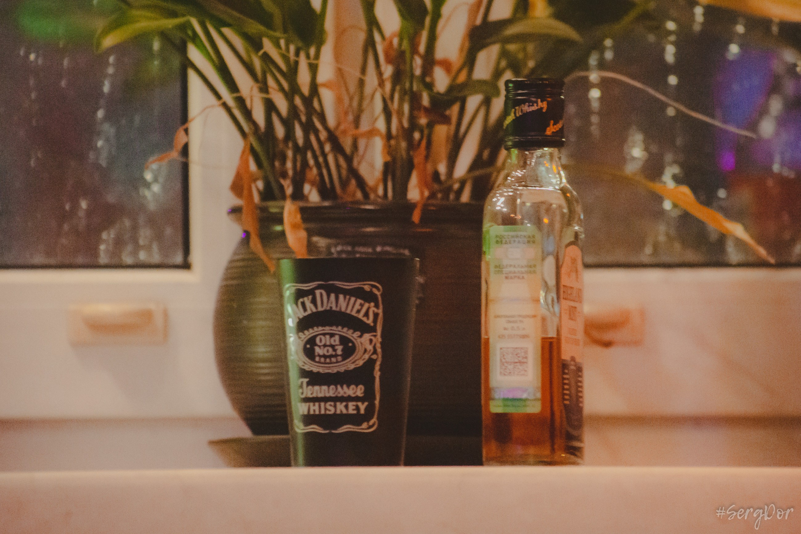 Рома Гонза, Ваня Пинженин, Квартирник у Мищенко, поэты, стихи, совершеннолетие, Санкт-Петербург, Питер, 16.11.2024, SergDor, 16 ноября 2024 года, #SergDor