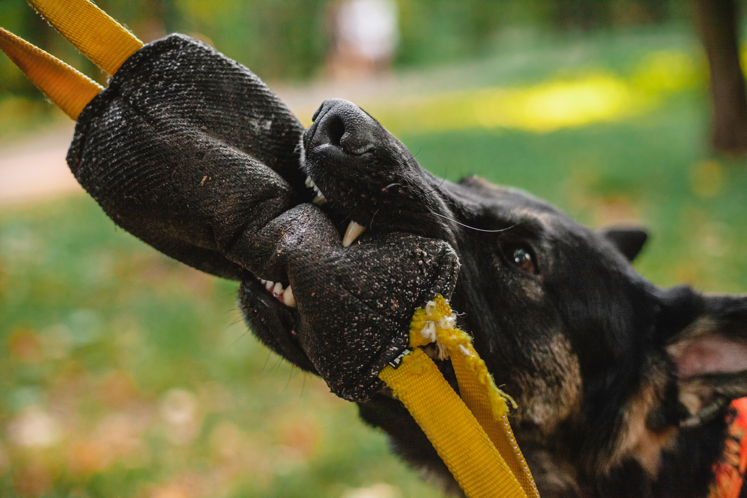 Илай. Фотограф-анималист Татьяна Степанова