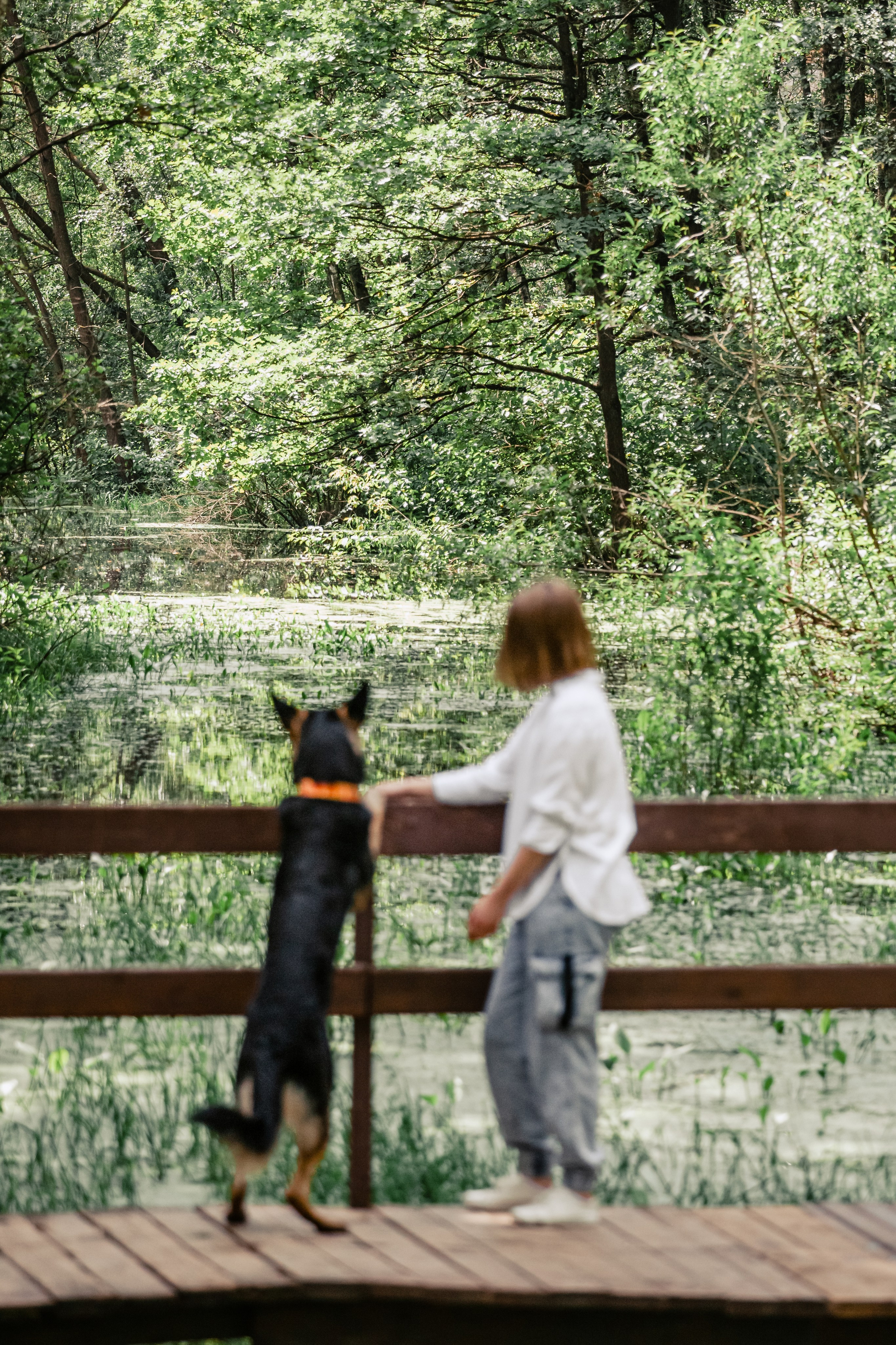 Лесная летняя фотопрогулка. Фотограф-анималист Татьяна Степанова