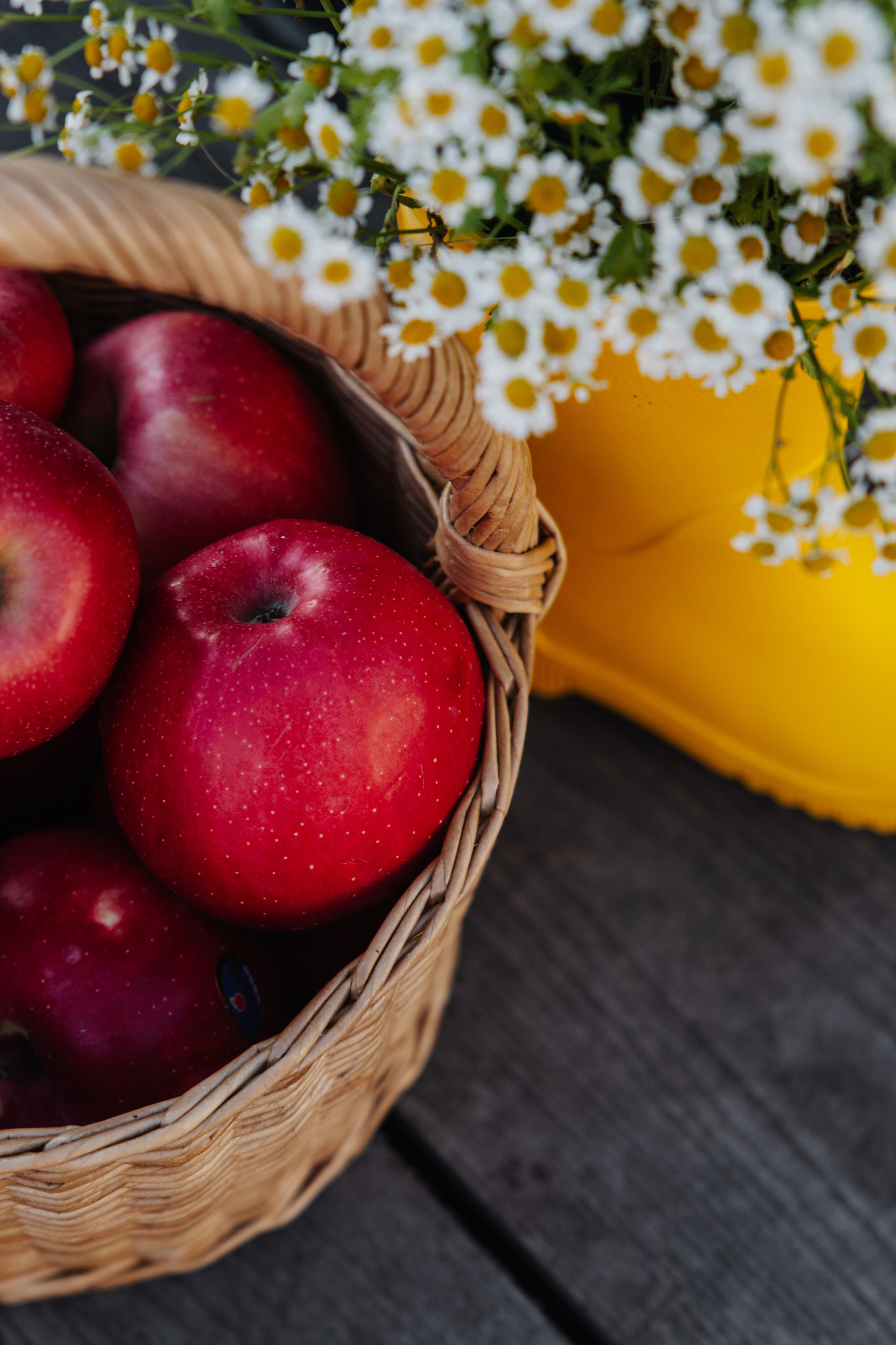 ГЕНДЕР ПАТИ. Фотограф в Красноярске