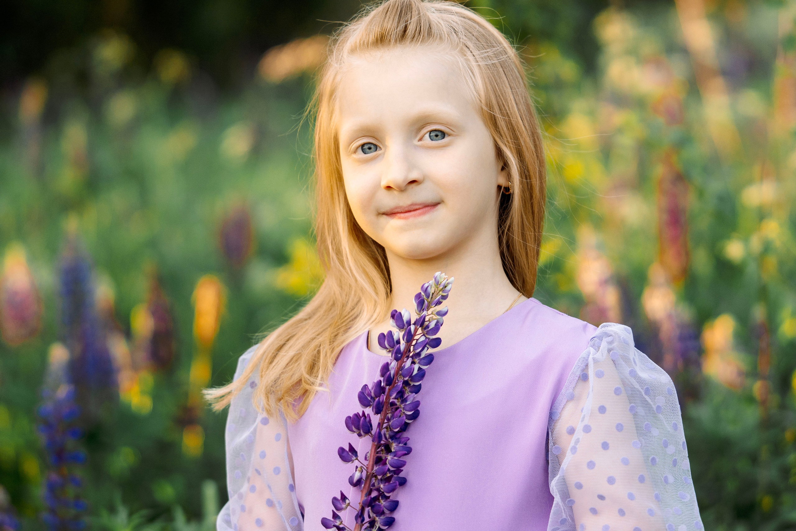 Люпины. Фотограф Юлия Попова