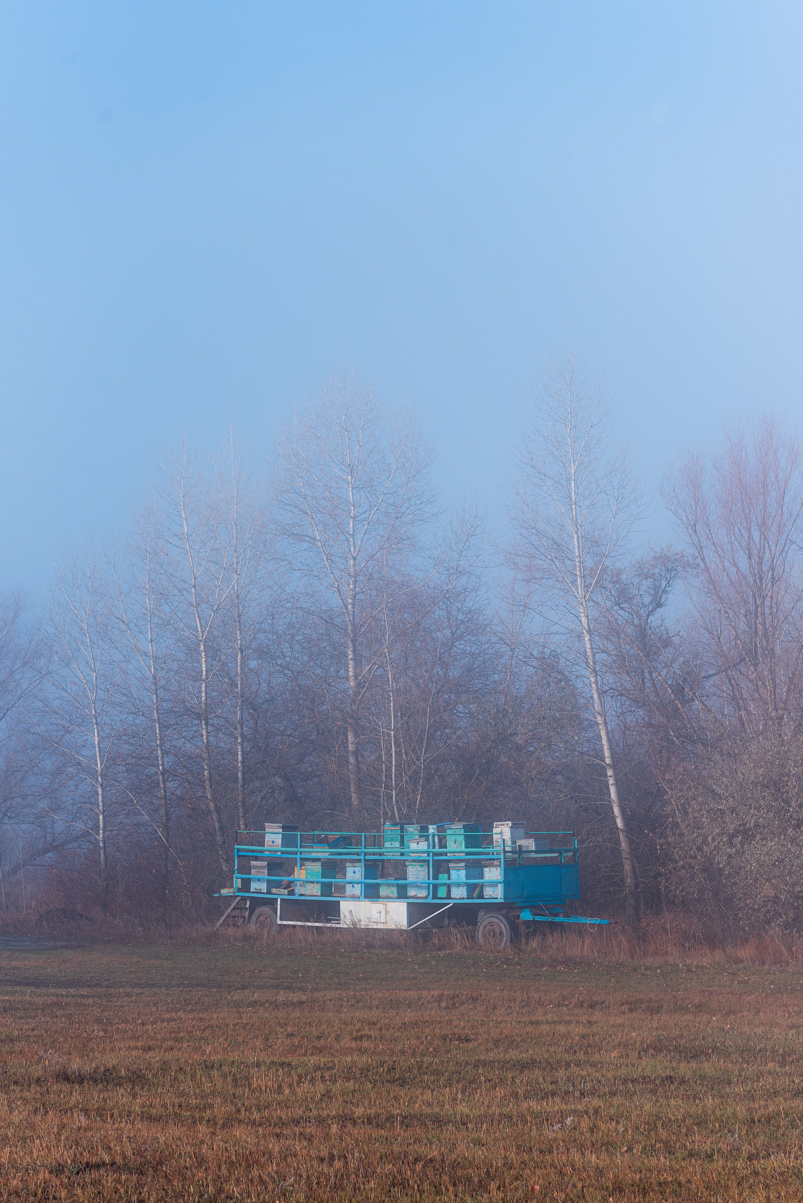 Фотографии утреннего тумана под Волжским. Фотограф в Волгограде и Волжском Александр Горбань