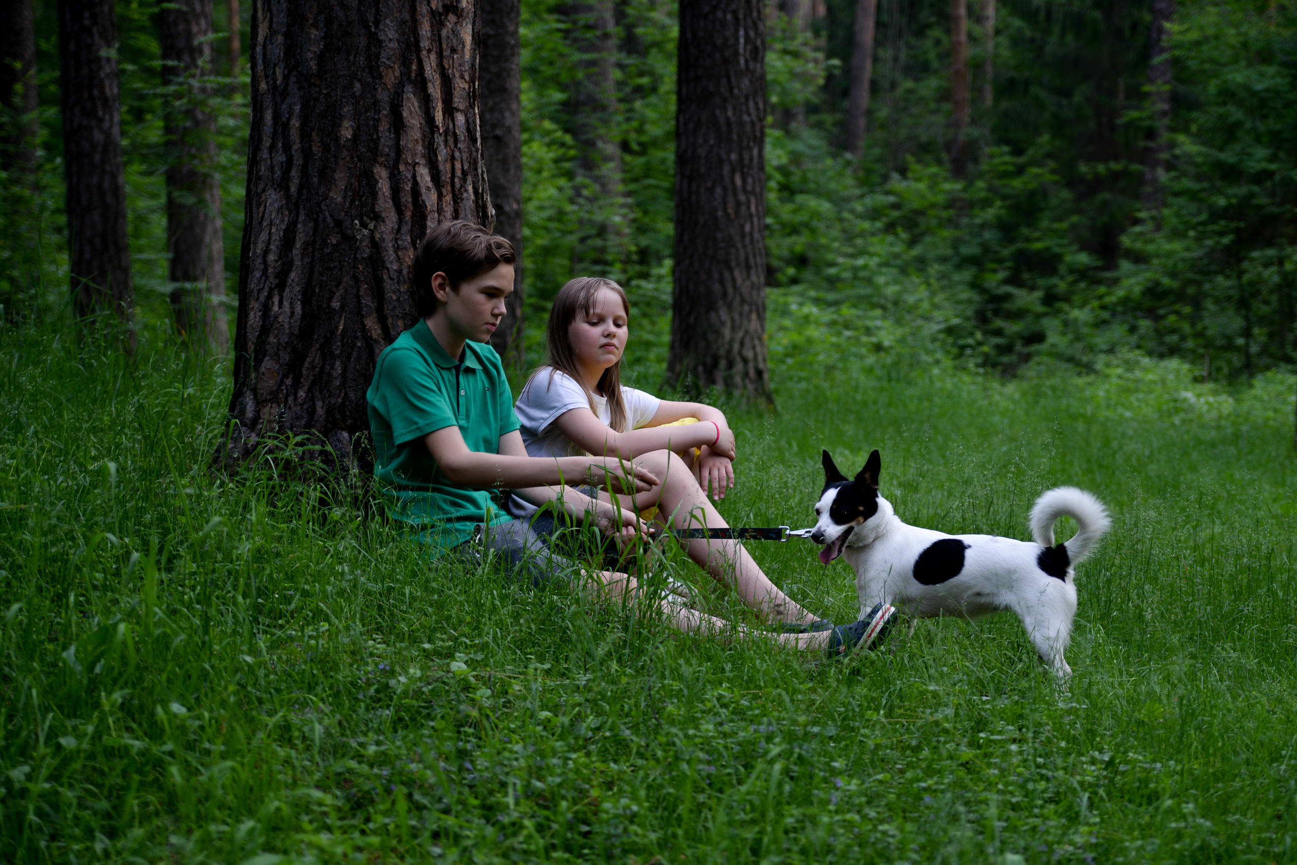 Прогулка в лесу с собакой 2019. Портретный и семейный фотограф в Перми Лена Лоза. Портрет для бизнеса