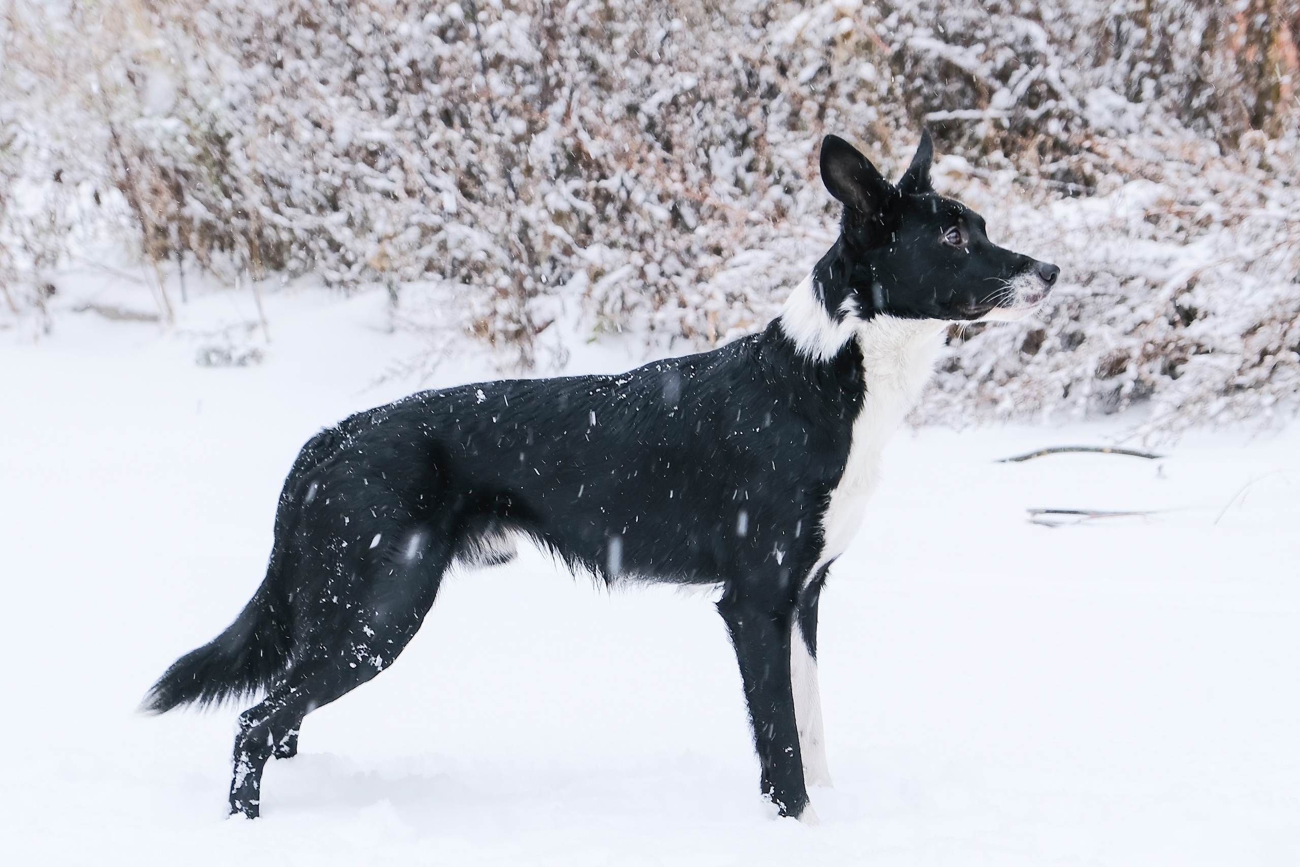 Экстерьерная съёмка. Портретный и семейный фотограф в Перми Лена Лоза. Портрет для бизнеса