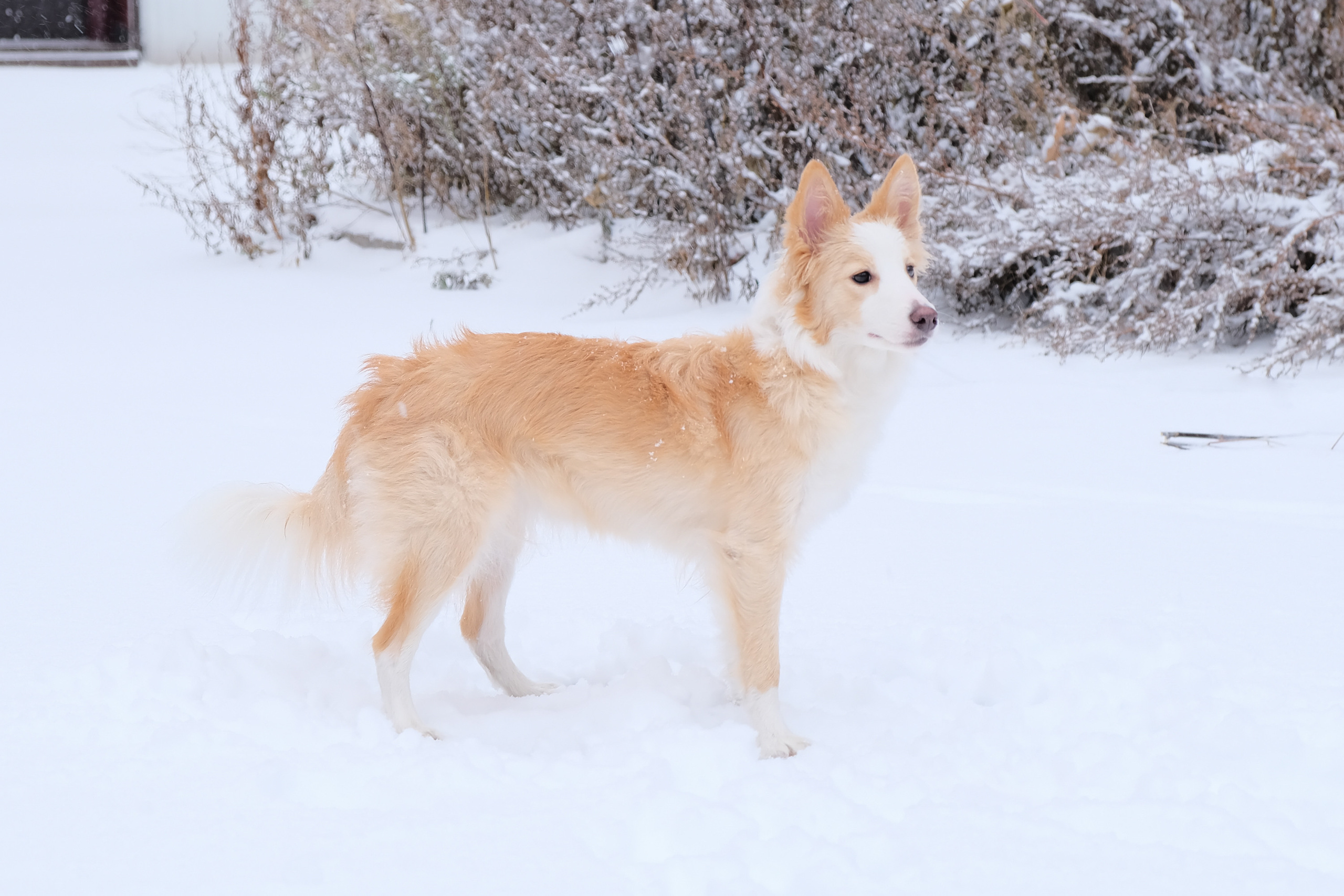 Экстерьерная съёмка. Портретный и семейный фотограф в Перми Лена Лоза. Портрет для бизнеса