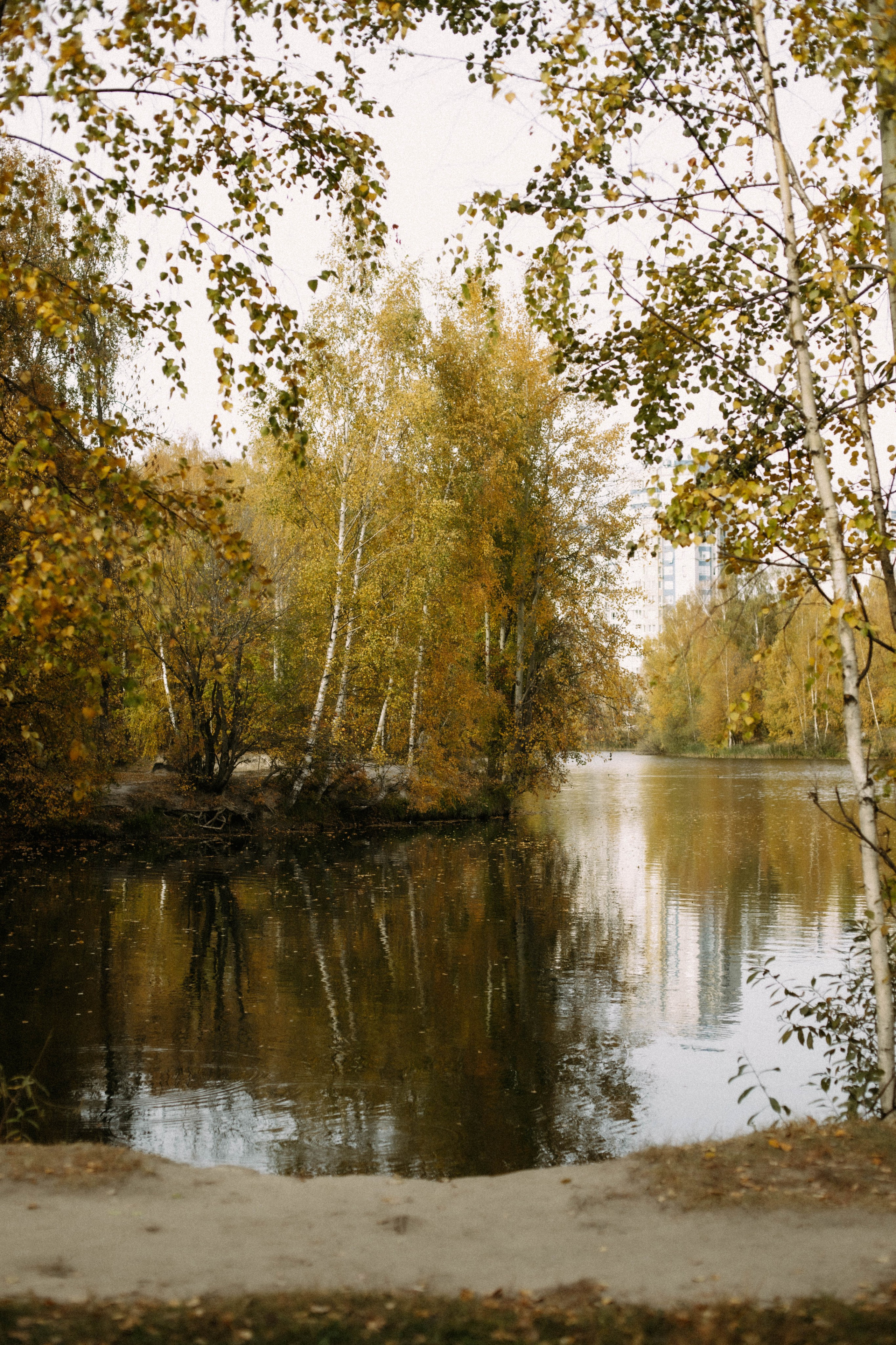Земснаряд осенний. Фотограф в Нижнем Новгороде