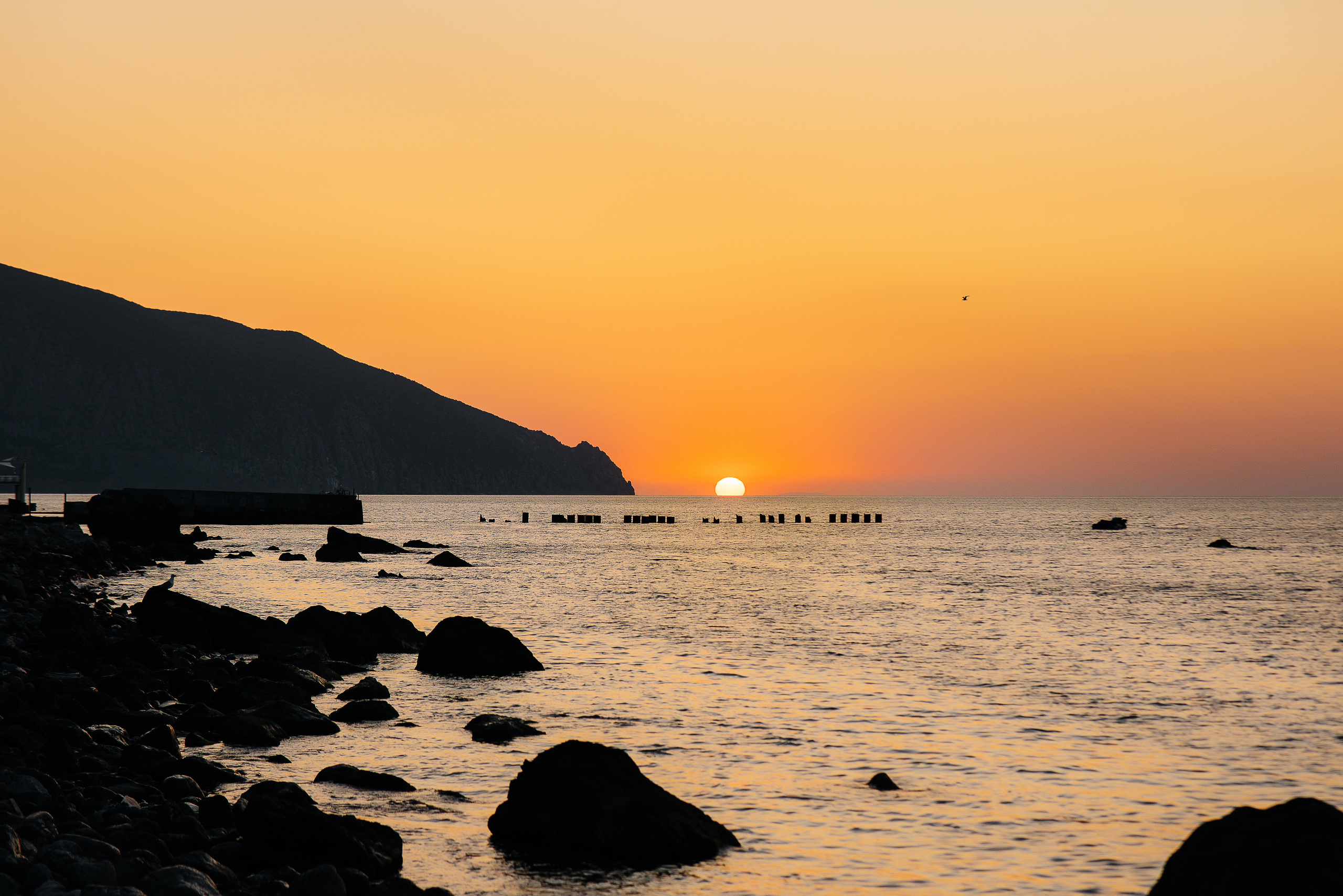 Love Story Сергей и Лидия. Wedding photographer in Moscow and around the world Andrey Medvednikov