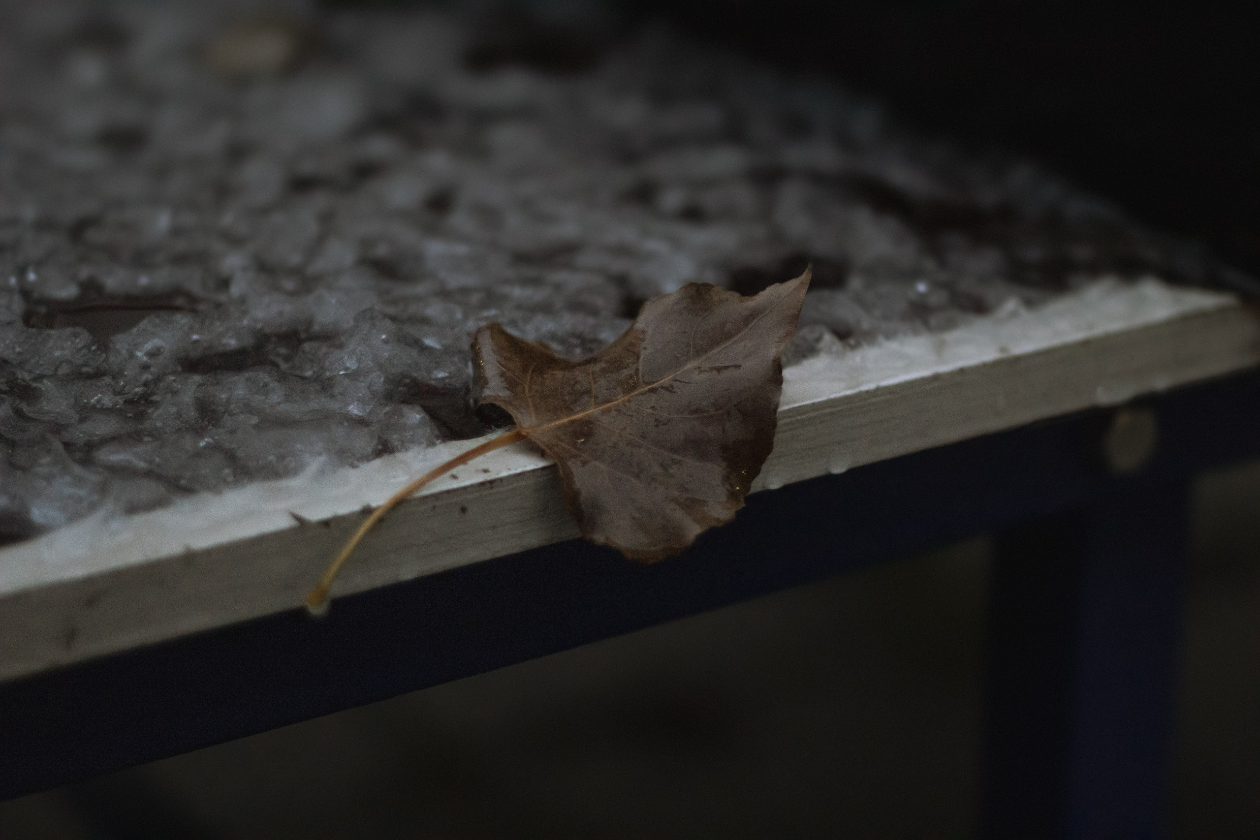 Осень-зима. Фотограф Москва, портрет, стрит, репортаж. Художественная фотосессия