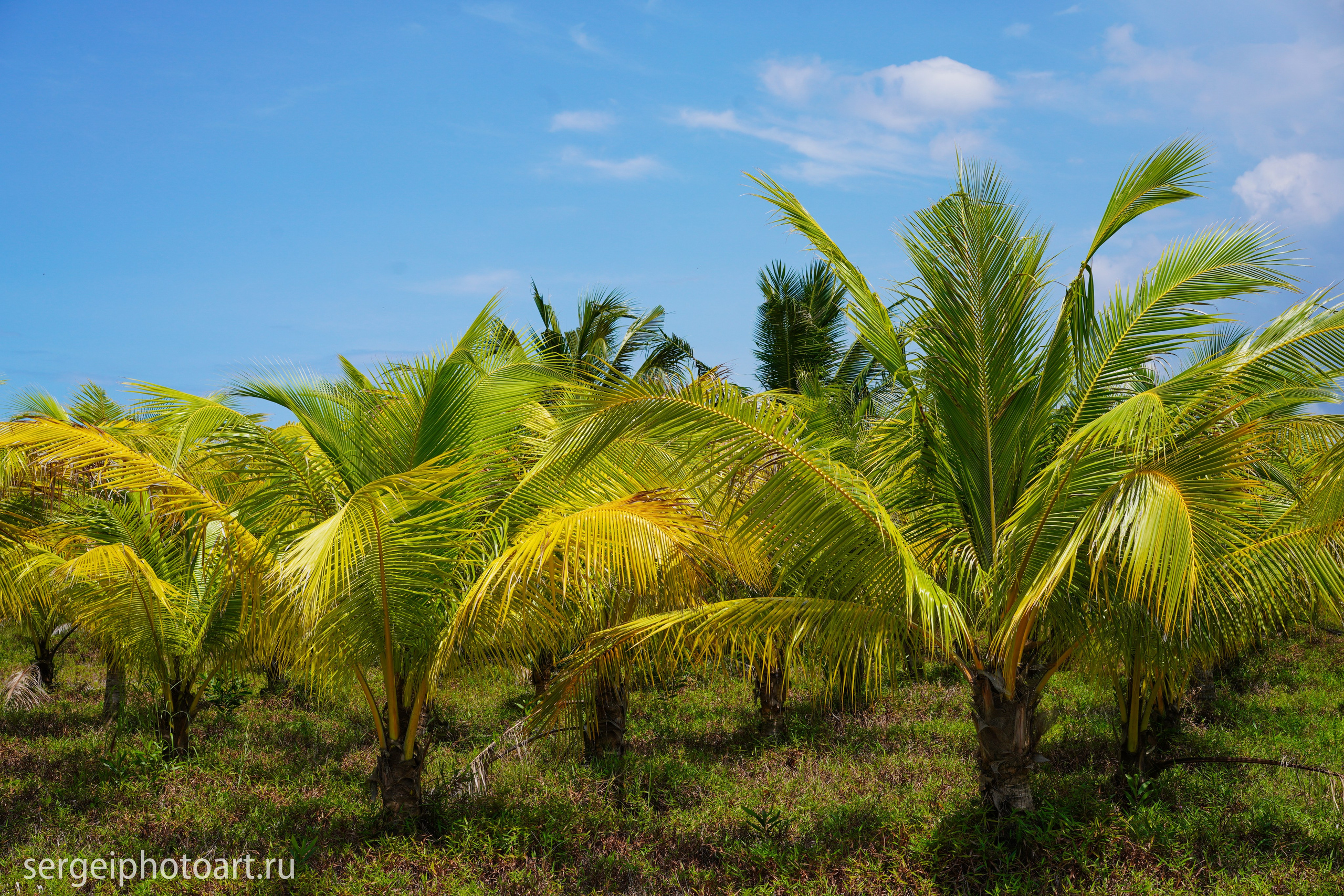 Остров Фукуок, Вьетнам. Фотограф Сергей Кишкель Дананг Нячанг Фукуок
