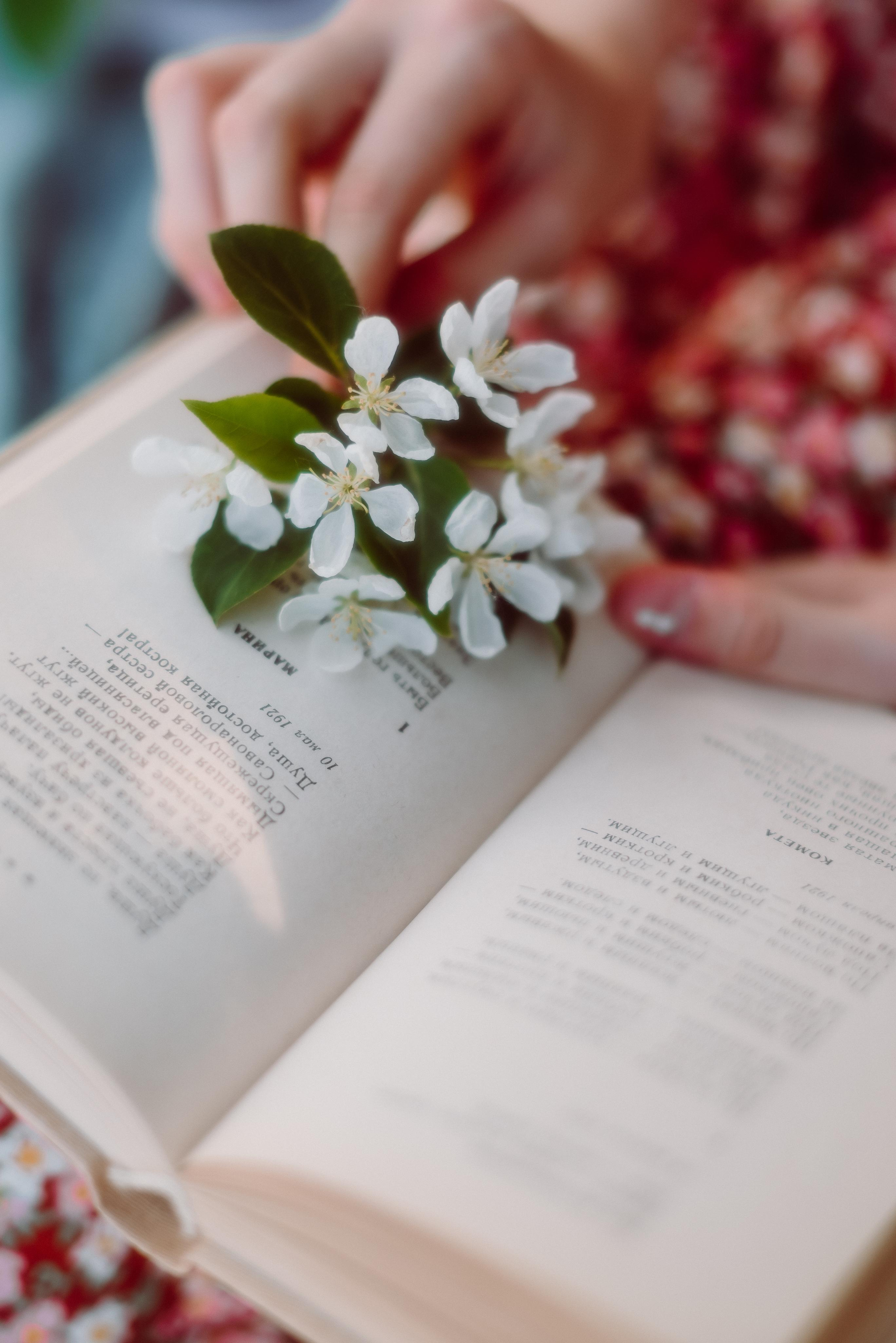 Фотосессия в цветущих яблонях в г. Кемерово