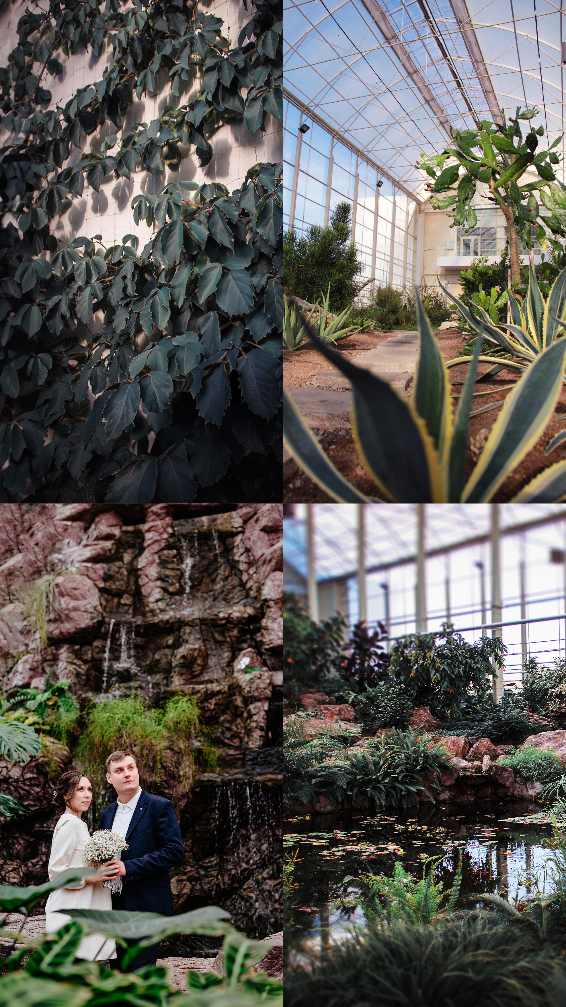 Ботанический сад Кемерово