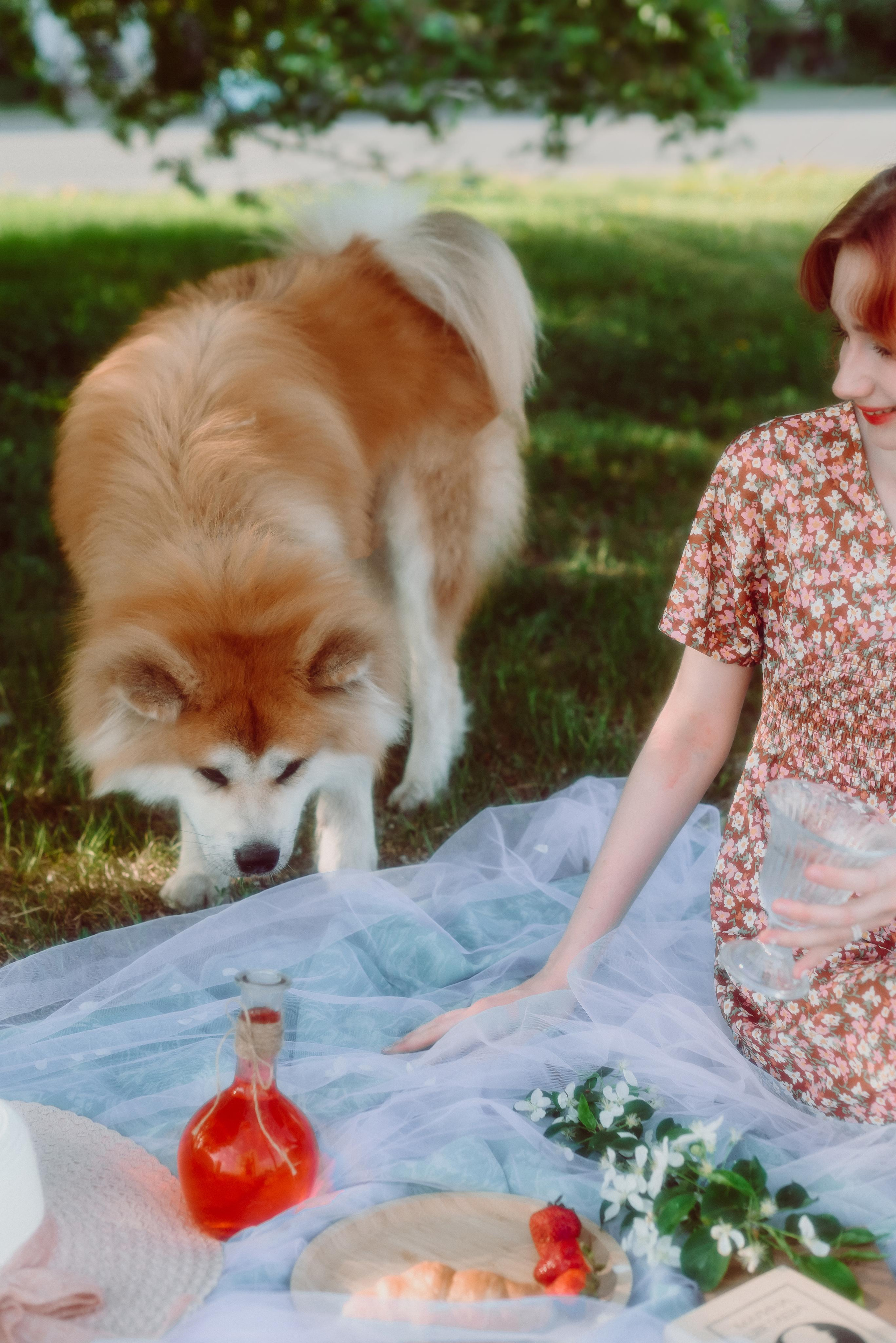 Фотосессия в цветущих яблонях в г. Кемерово