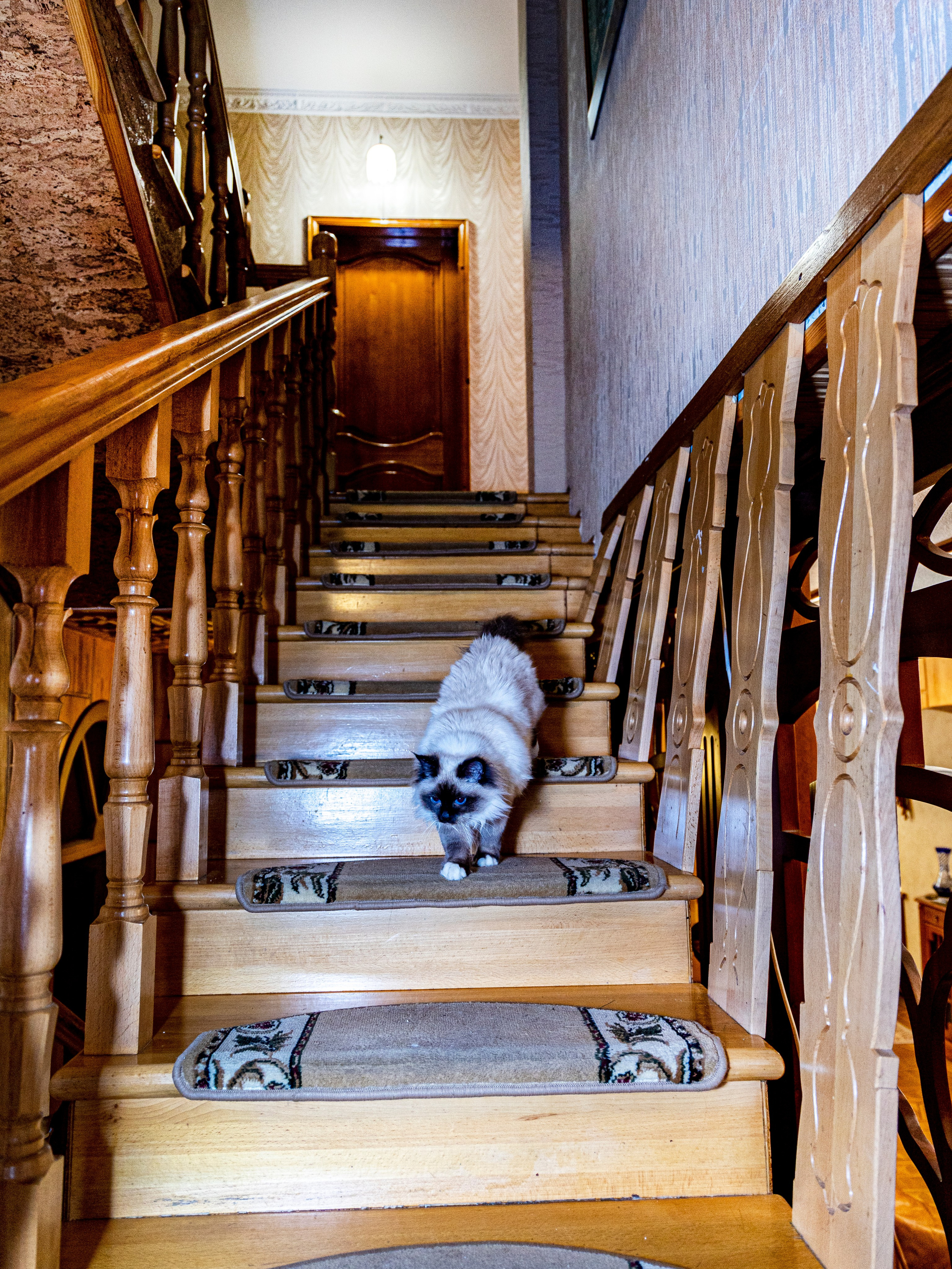 Фотограф Татьяна Марсуверских г. Жуковский, Москва и Мо. Репортажные съёмки, фотосессии. Детский, семейный фотограф. Фотограф для маркетплейсов, фотоуслуги в Жуковском Татьяна Марсуверских