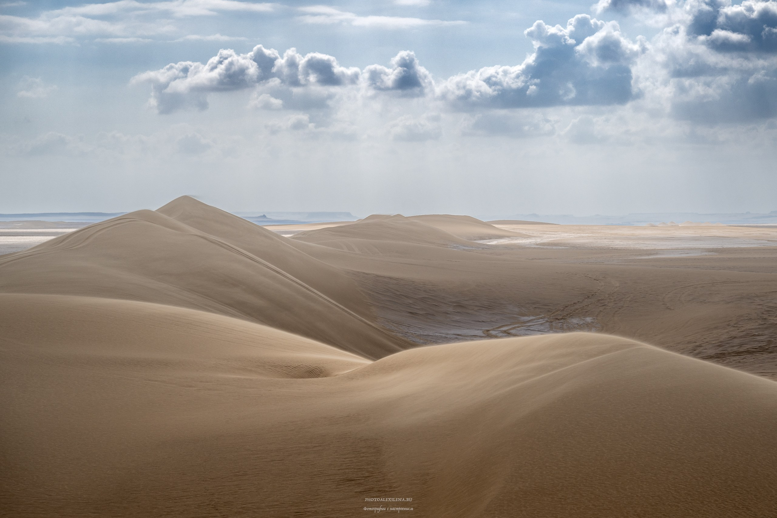 Снова в пустыню, за скелетами…. Авторские стильные фотокартины