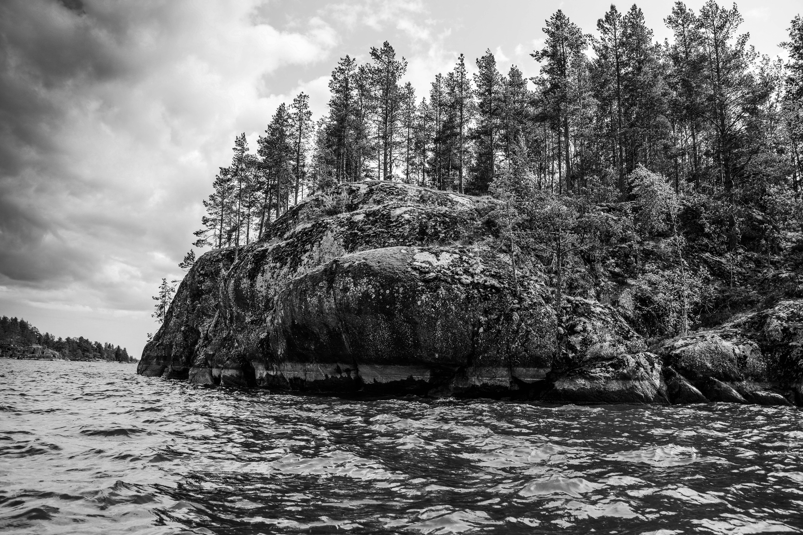 АЛЕКСЕЙ КОЛМАКОВ. Фотограф. Москва и Московская область