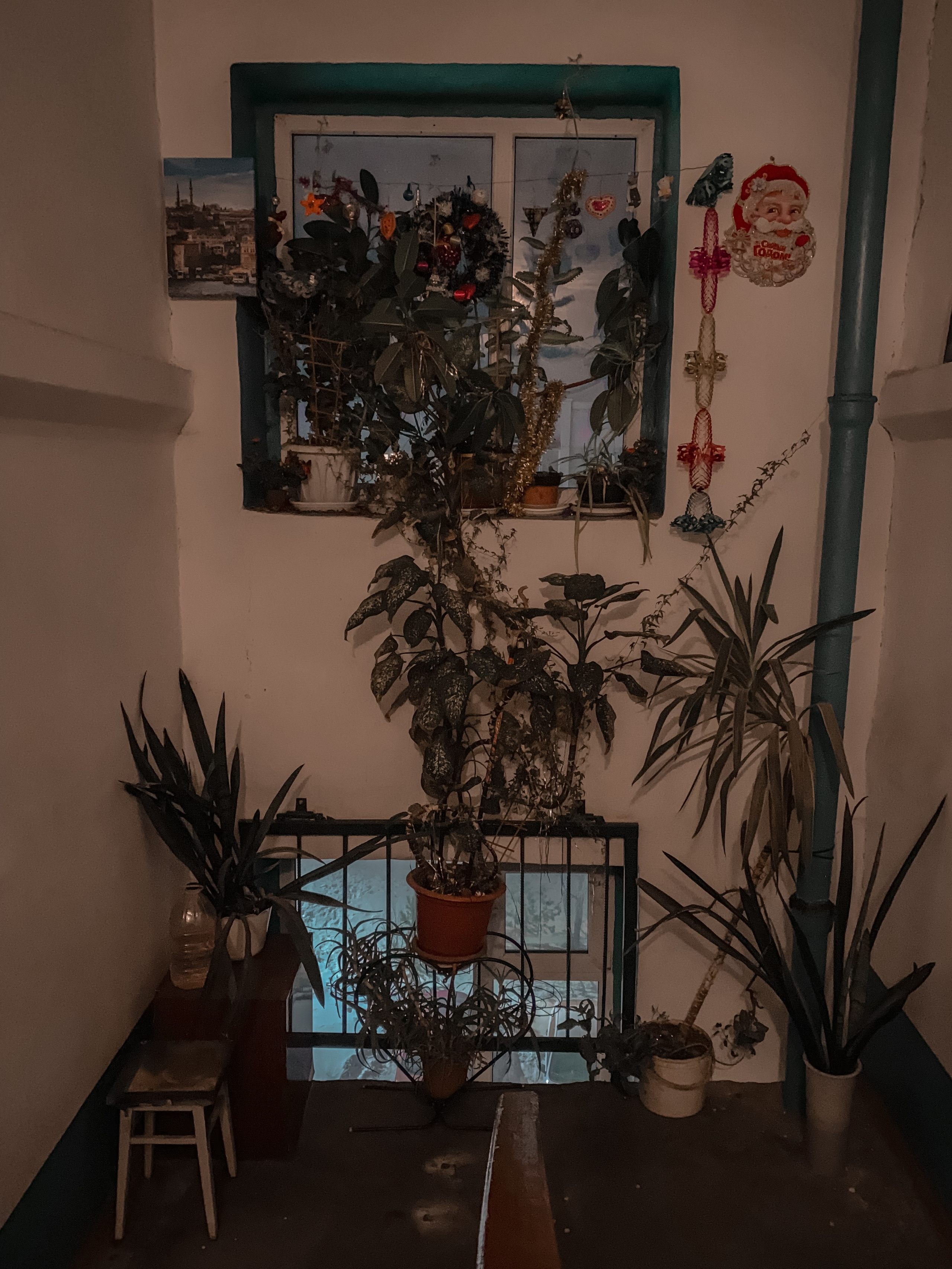 Iphone. Photographer in Turkey — Dari N