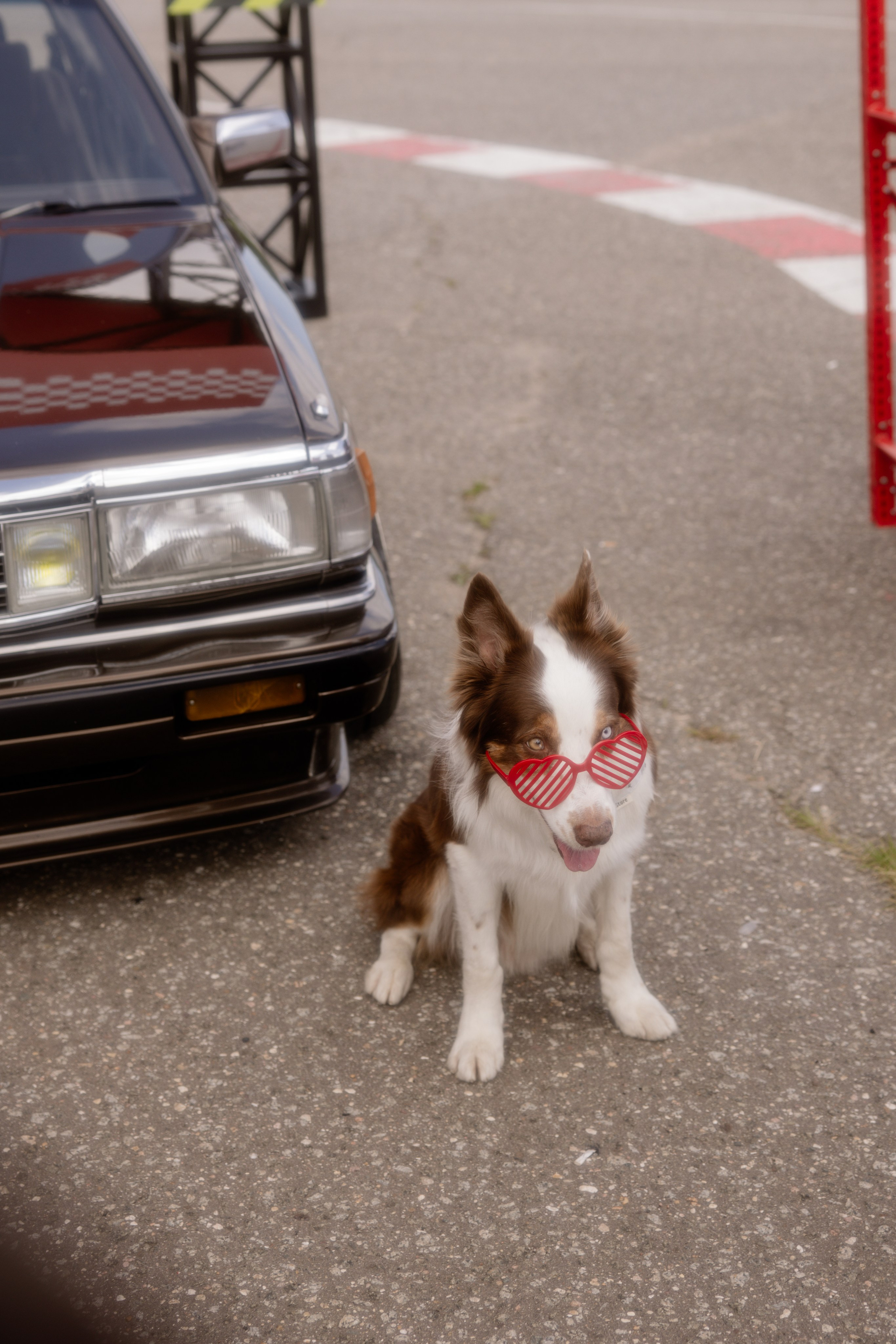 Japdays 25. Свадебный фотограф / Reels Нижний Новгород Татьяна Красильникова