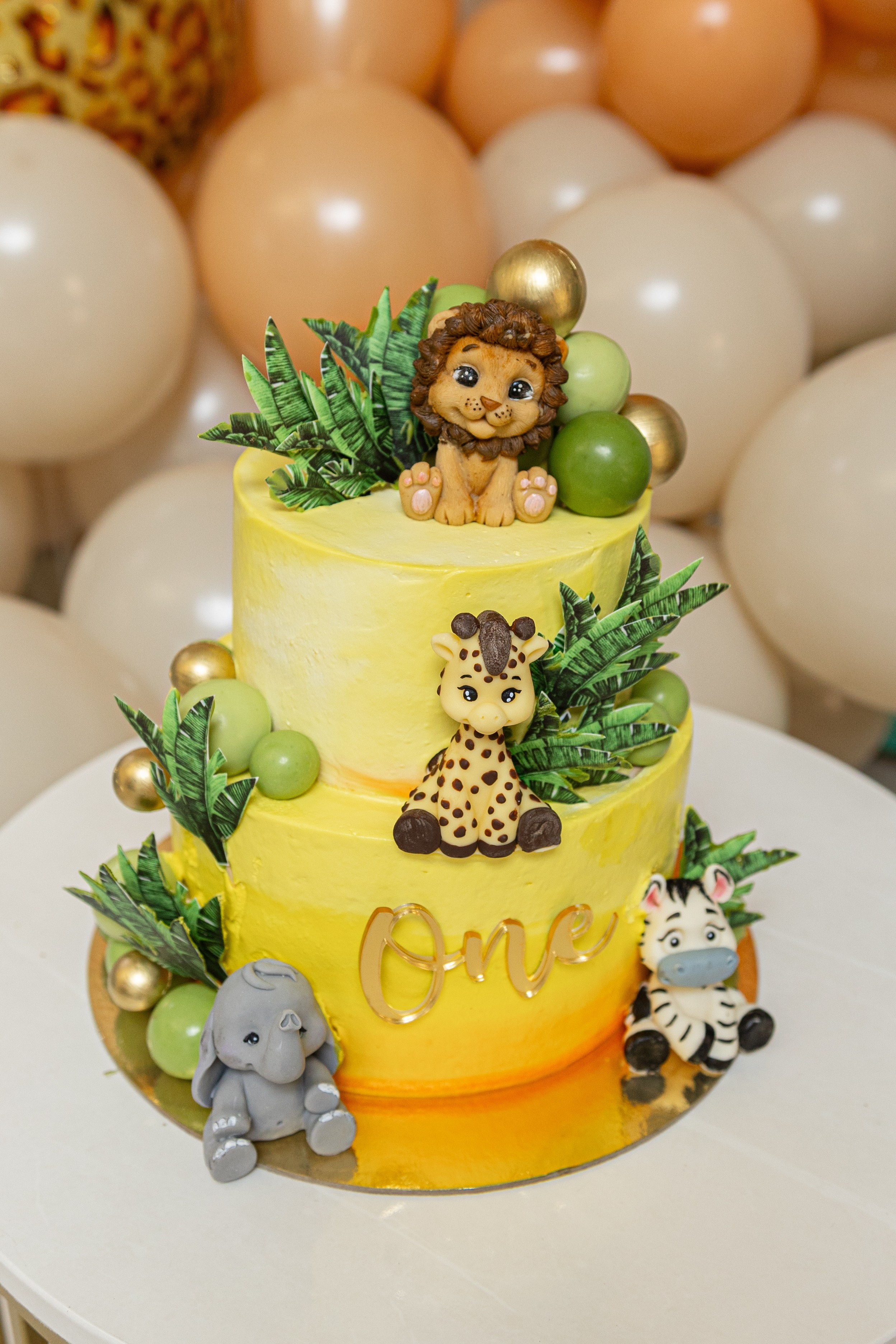 День рождения Мирона. Семейный Фотограф в Красноярске Анастасия Попова