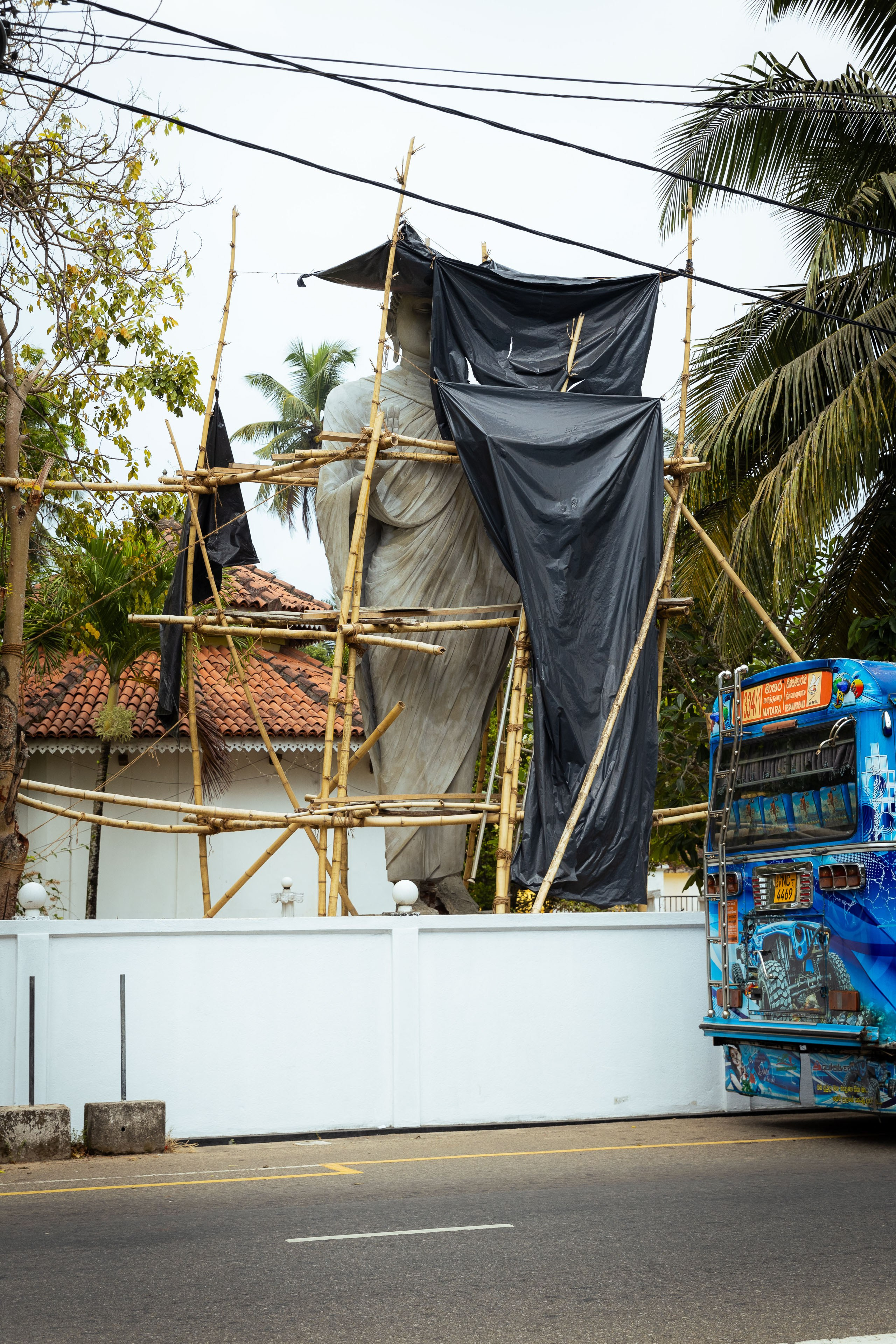 Шри-Ланка (весна 2024). Фотограф Виноградов Константин
