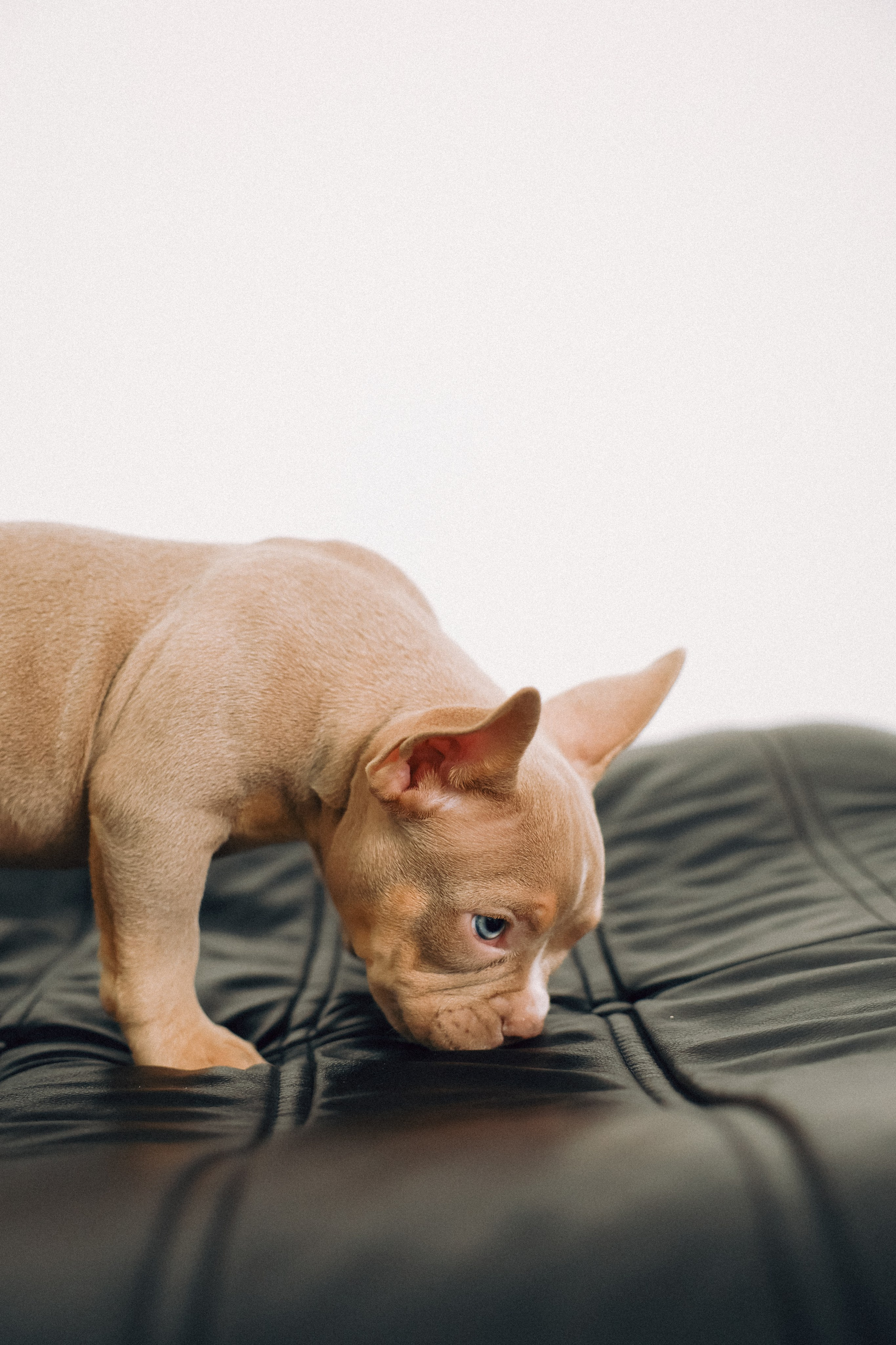 Семейная съемка с хвостиком. Фотограф Юлия Герасимова Иркутск