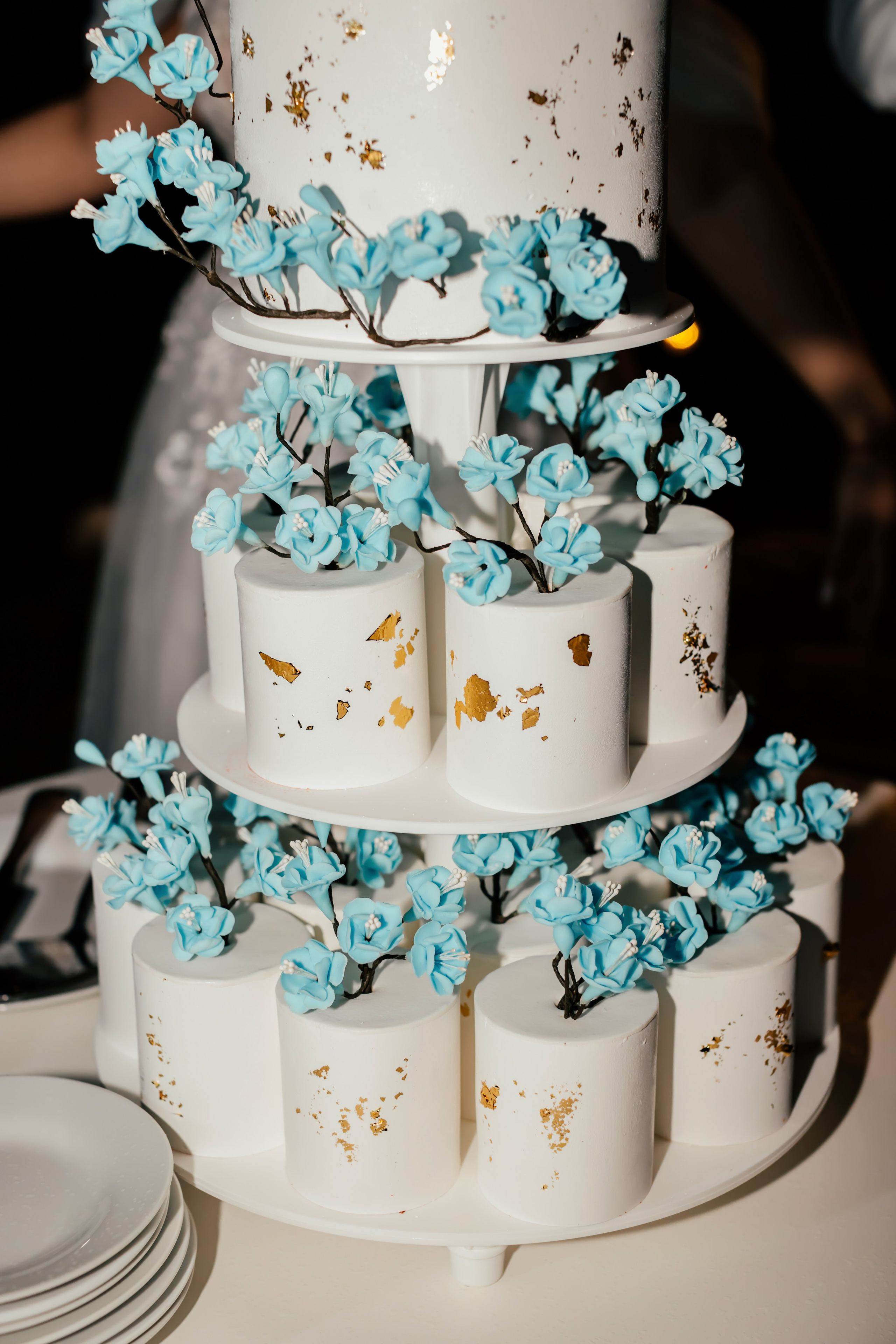 Свадьба Сергей и Ангелина. Анастасия Давыдова