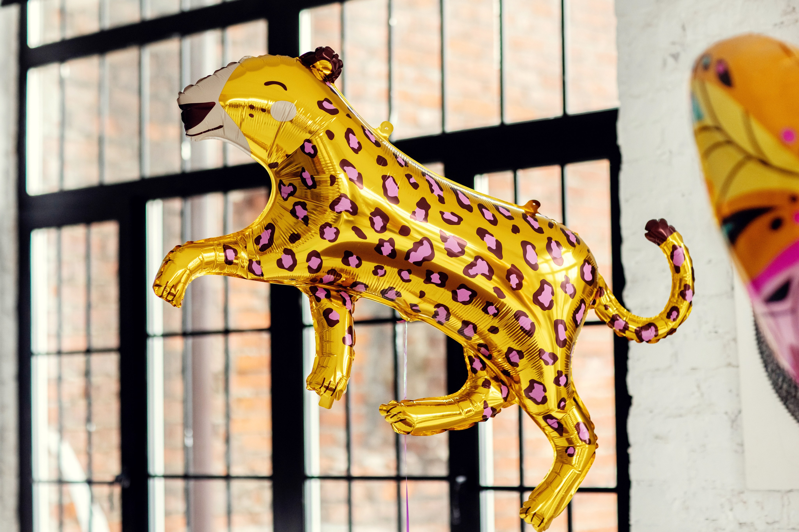 Элине 5 лет. Детский и семейный фотограф в Москве Анна Ипатьева