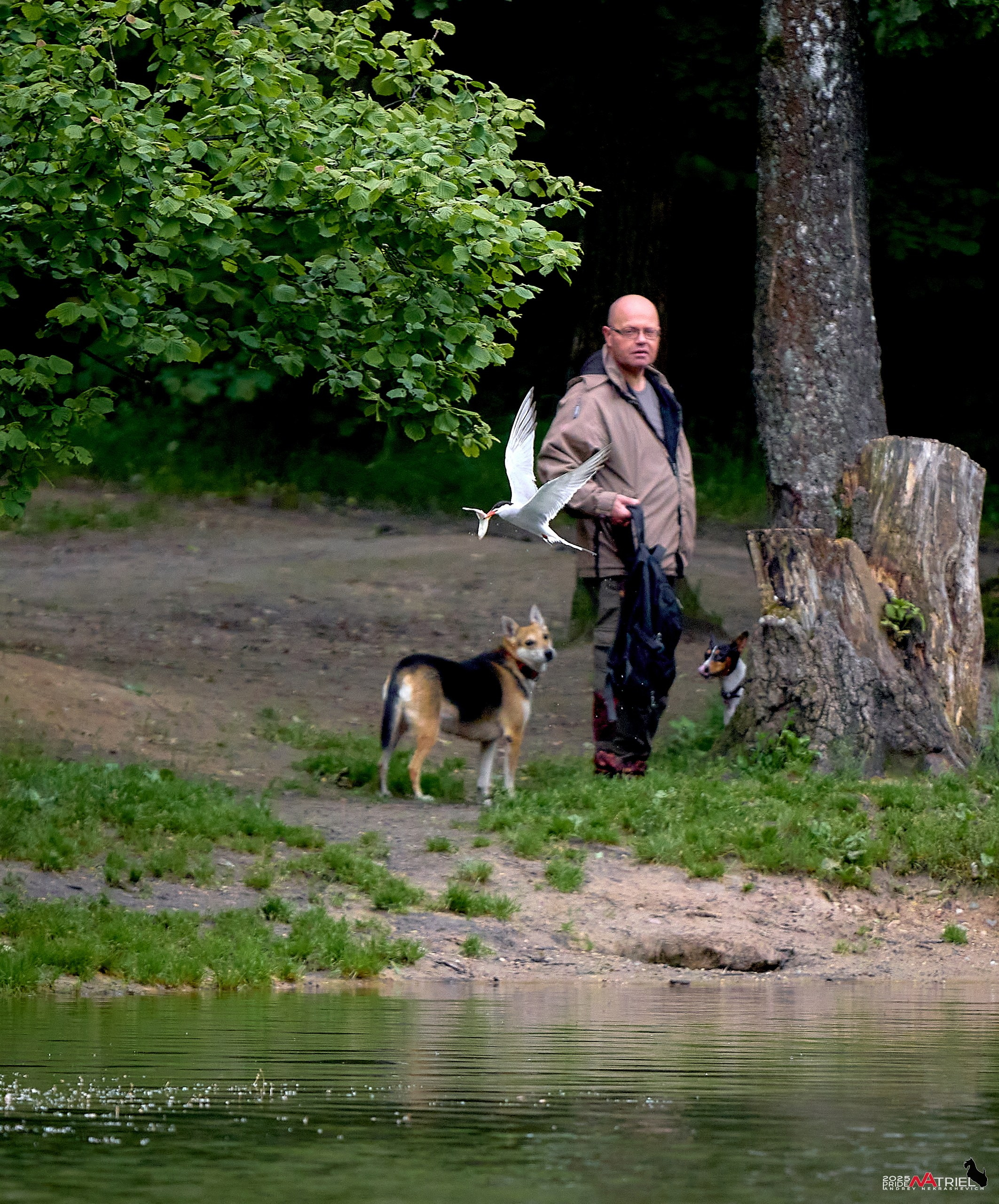 Съемка в парке на воде
