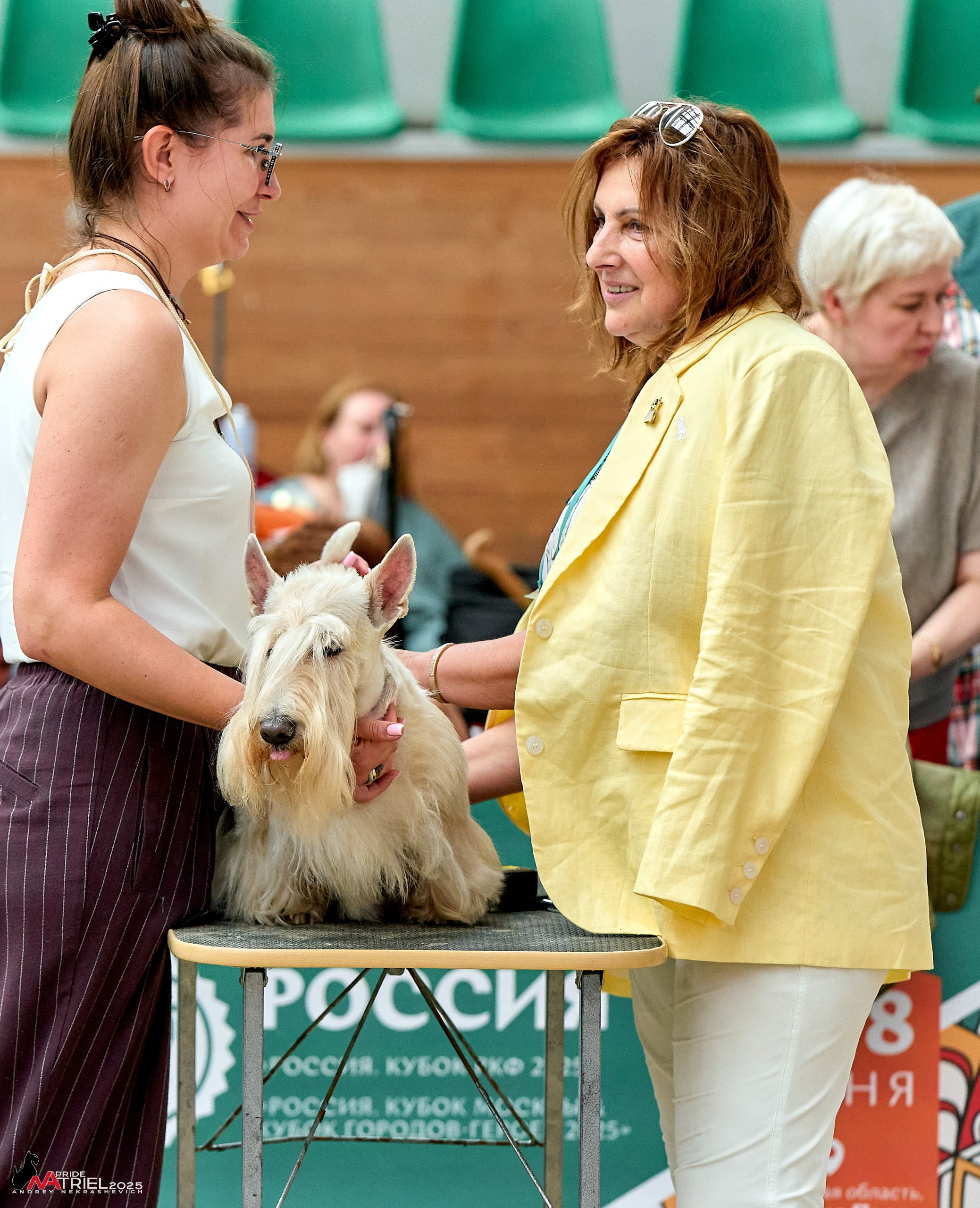 Выставка собак РОССИЯ — 2025