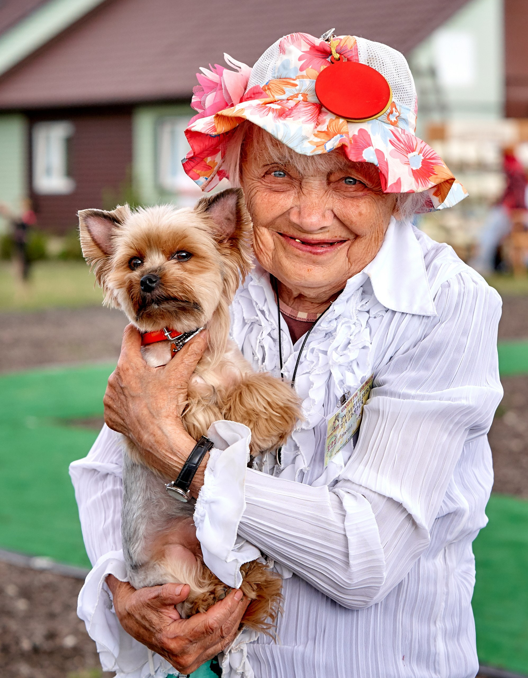 Мероприятия с собаками — галерея NATRIEL