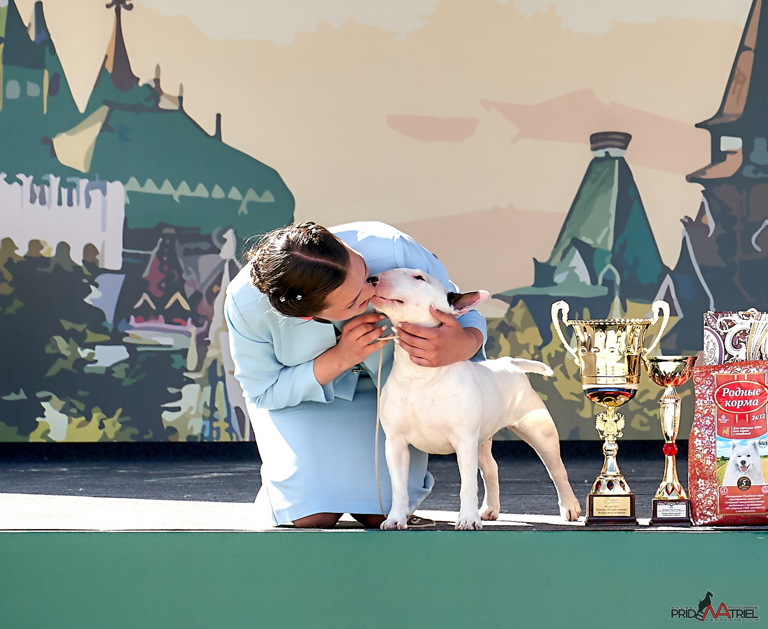 Призовые места — галерея NATRIEL