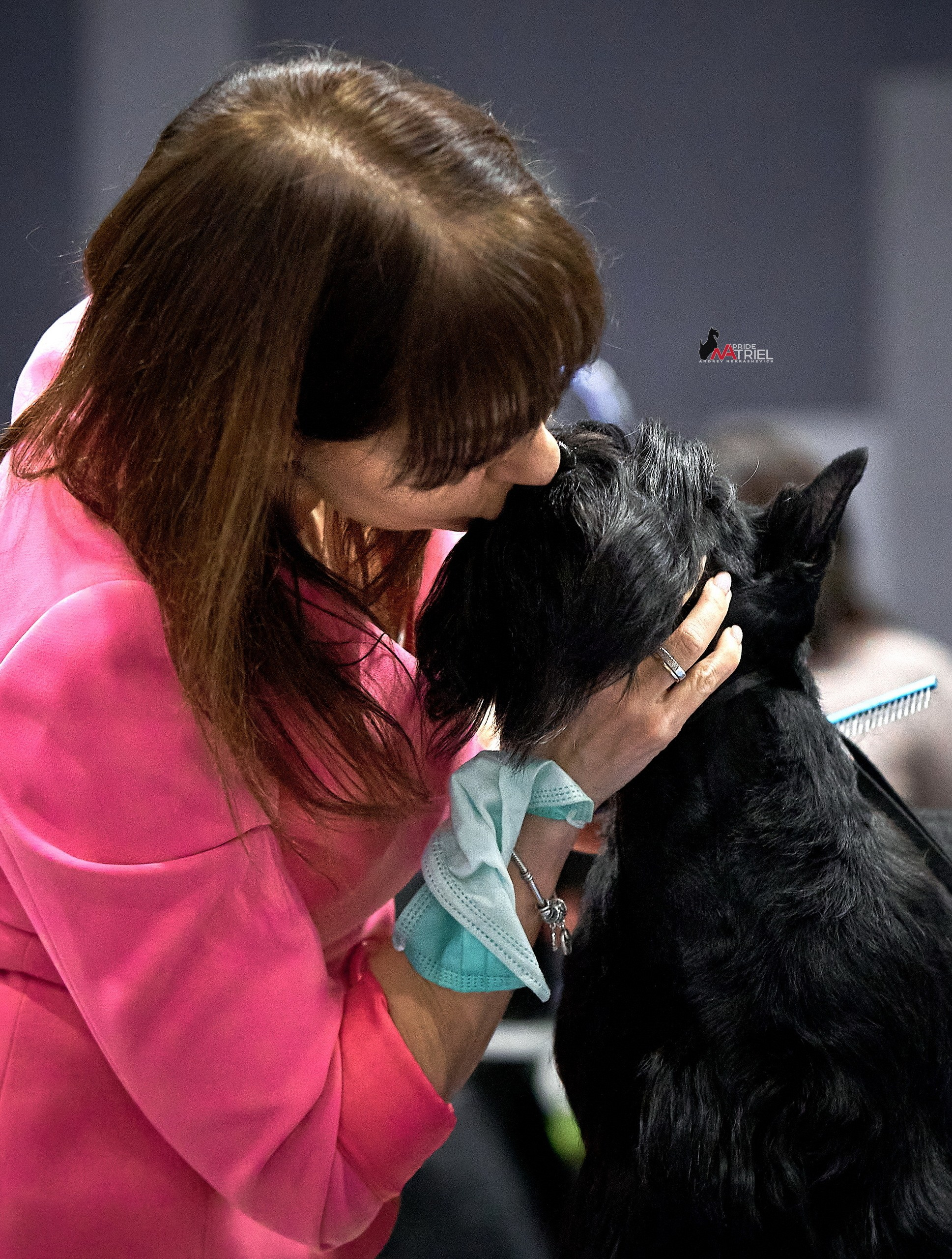 Собаки и Люди — галерея NATRIEL