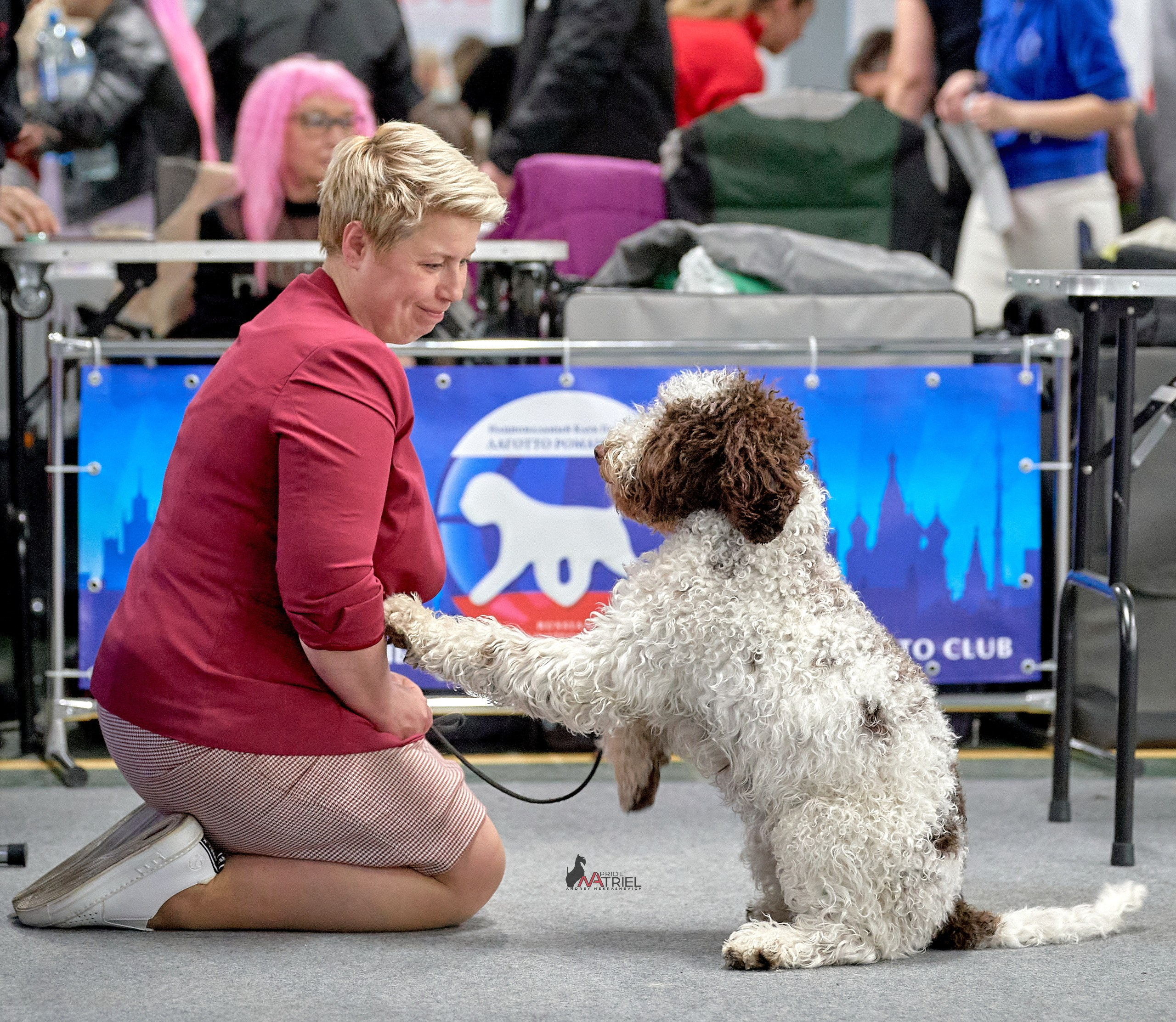 Работа в рингах — галерея NATRIEL