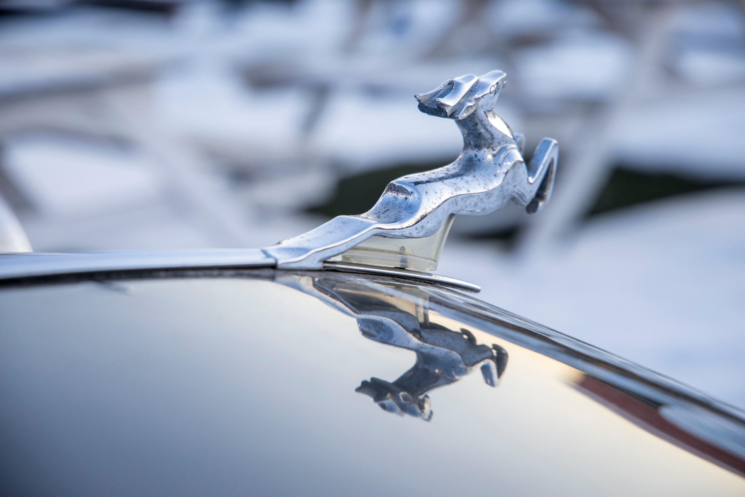 Разности. Портретный и семейный фотограф Санкт-Петербург