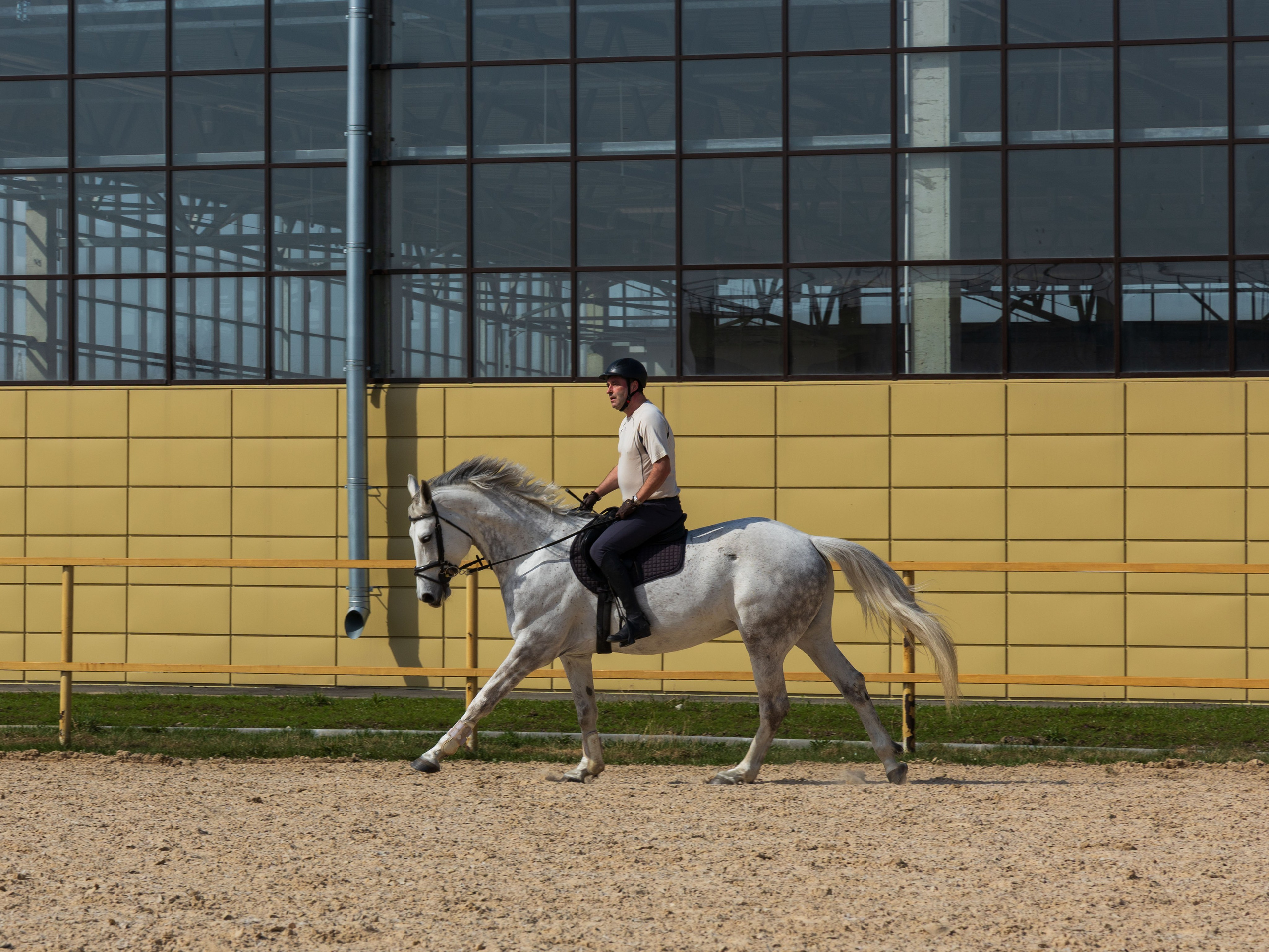 Репортаж.Конная тренировка. Портретный и семейный фотограф Санкт-Петербург