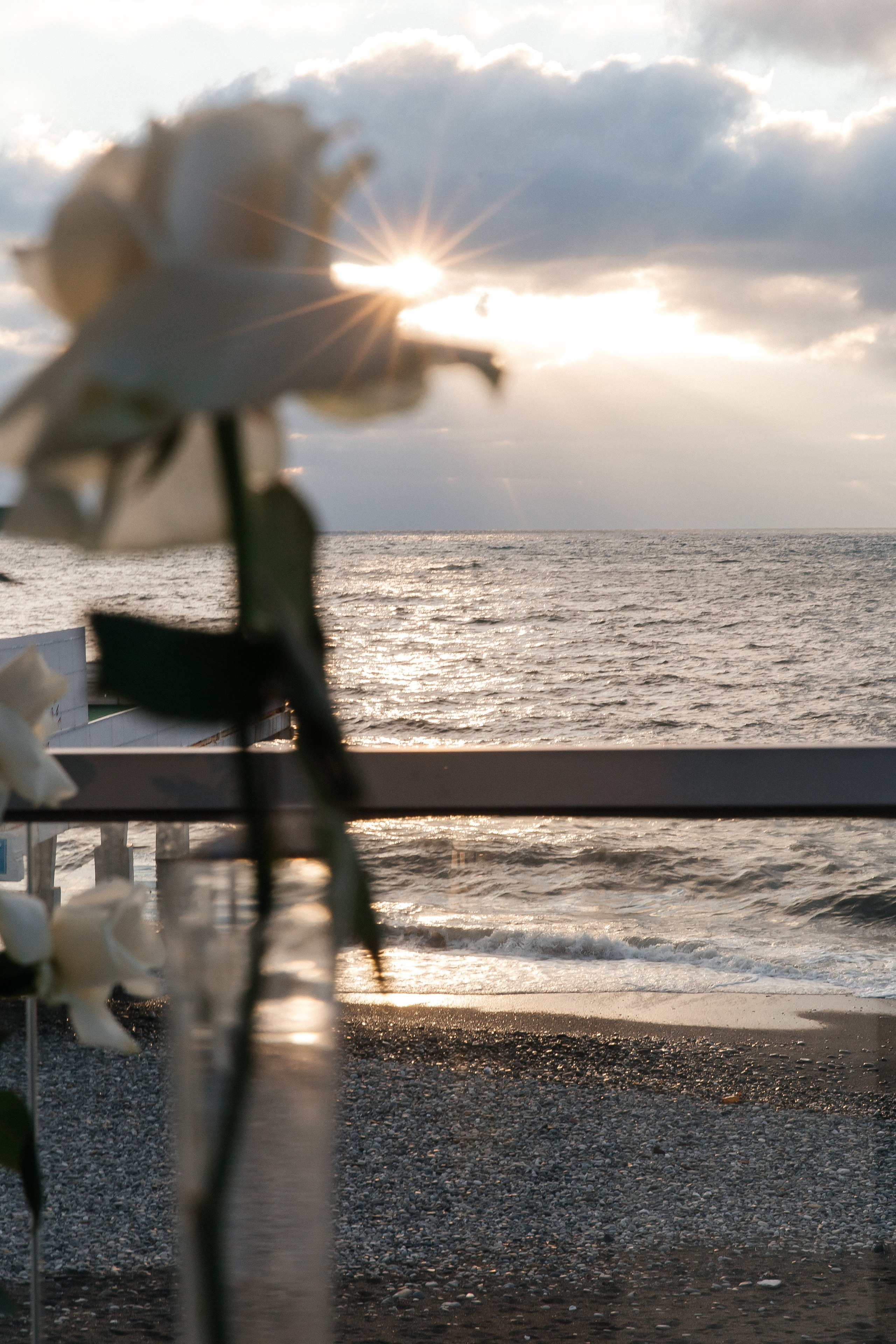 MARINA & DMITRY. Свадебный фотограф | Екатеринбург | Сочи | Артем Шестаков