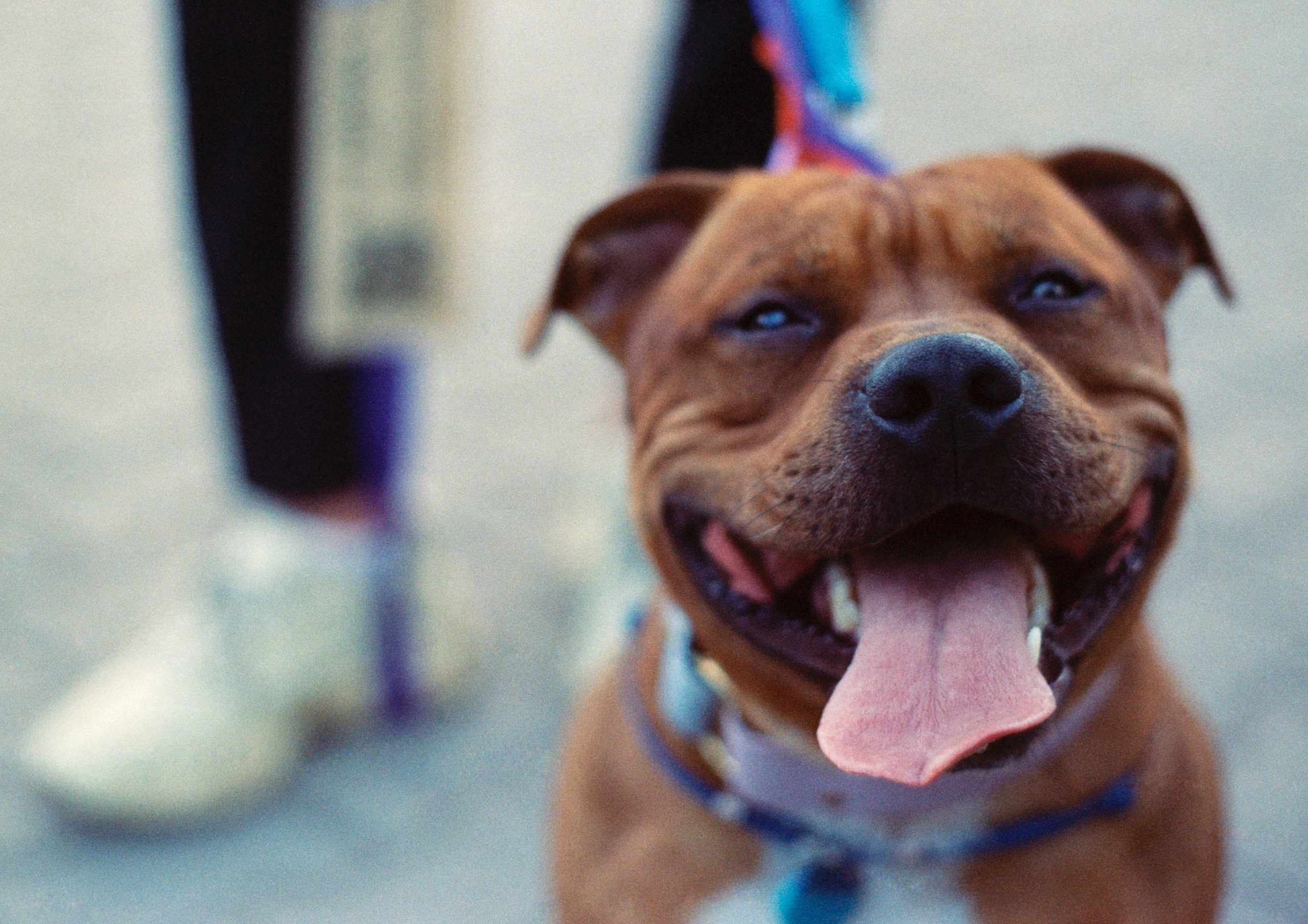 VOX. Стилист и плёночный фотограф Анастасия Шлокова в Санкт-Петербурге и Москве