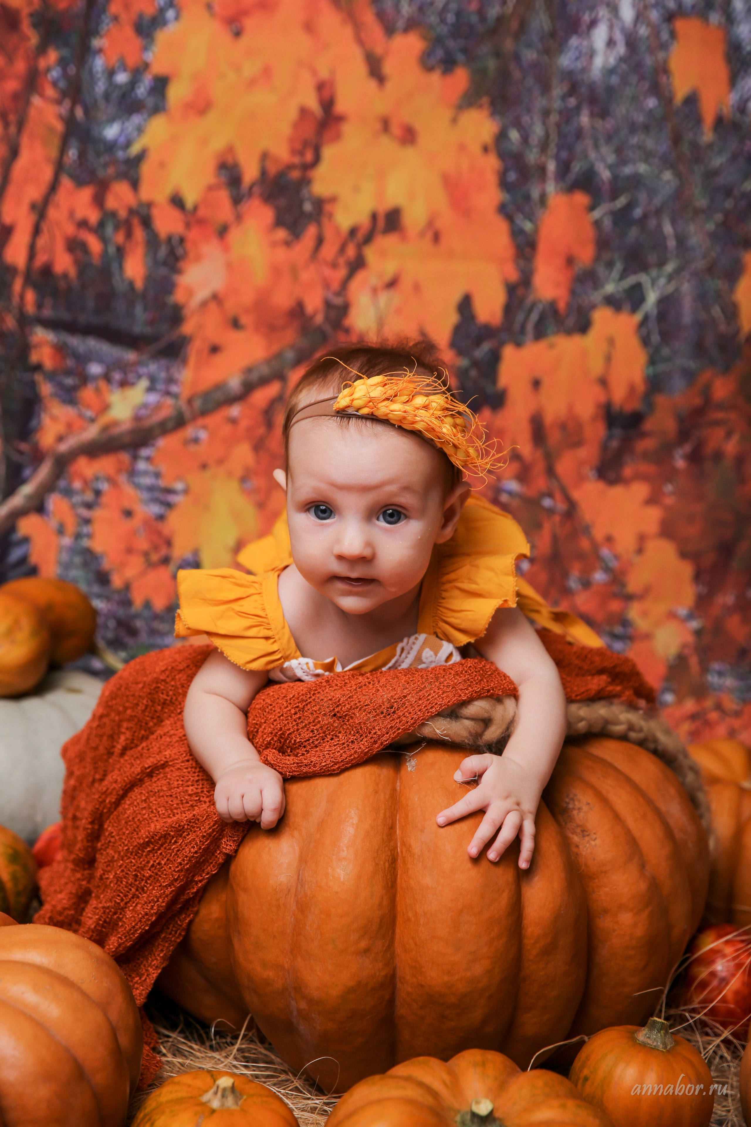 Фотопроект ТЫКВЫ. Фотограф новорожденных, детей до года и беременных в Симферополе