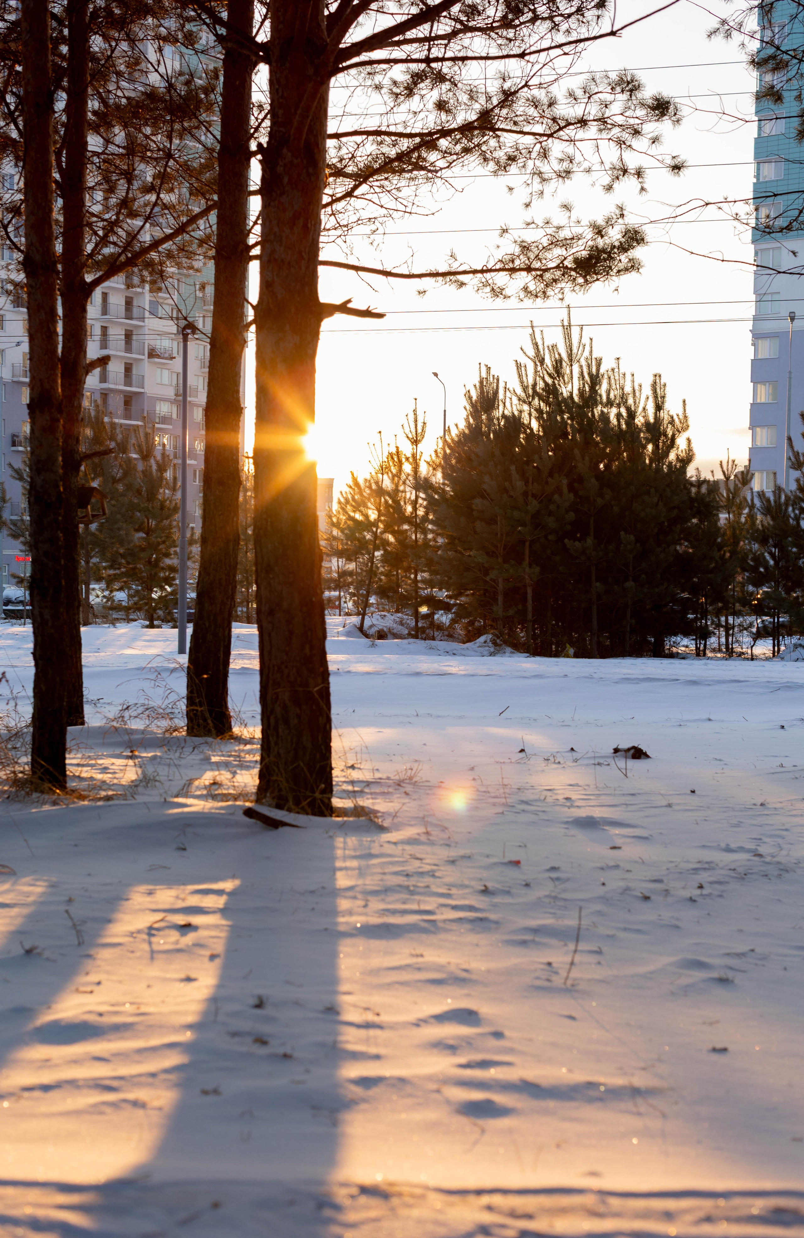 Зимняя прогулка. Art my Pho