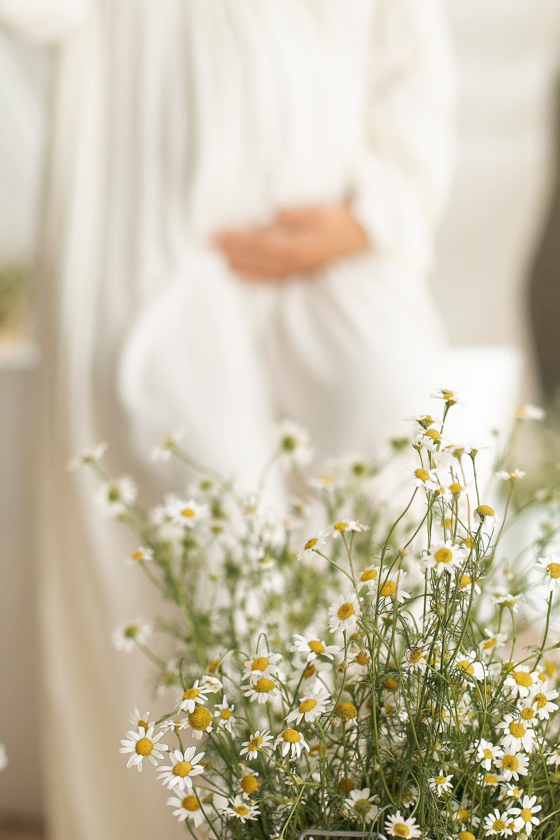 Ксения и ромашки. Семейный и детский фотограф в Красноярске Анна Маюрова