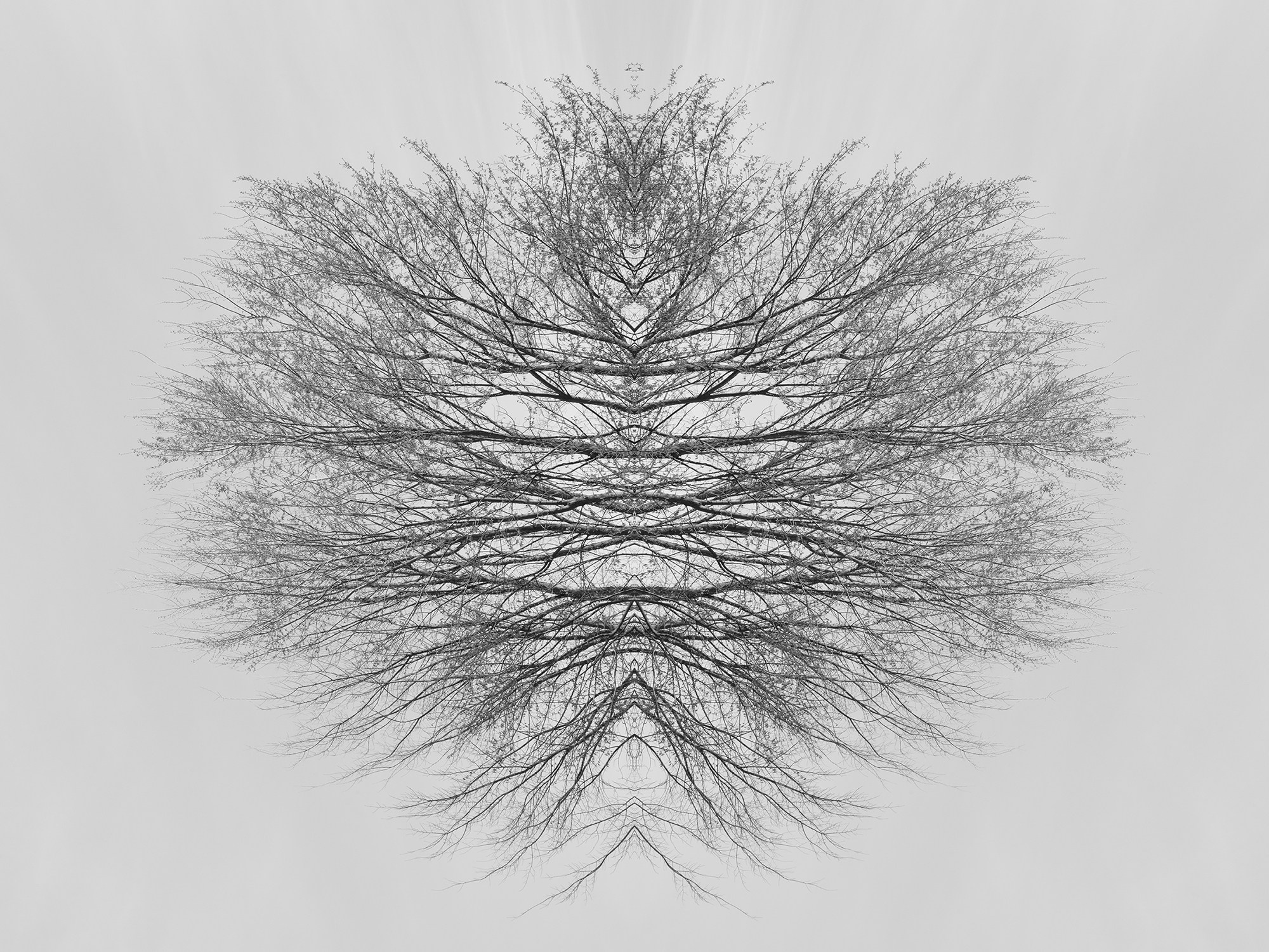 Острова. Анна Порошина — междисциплинарный художник