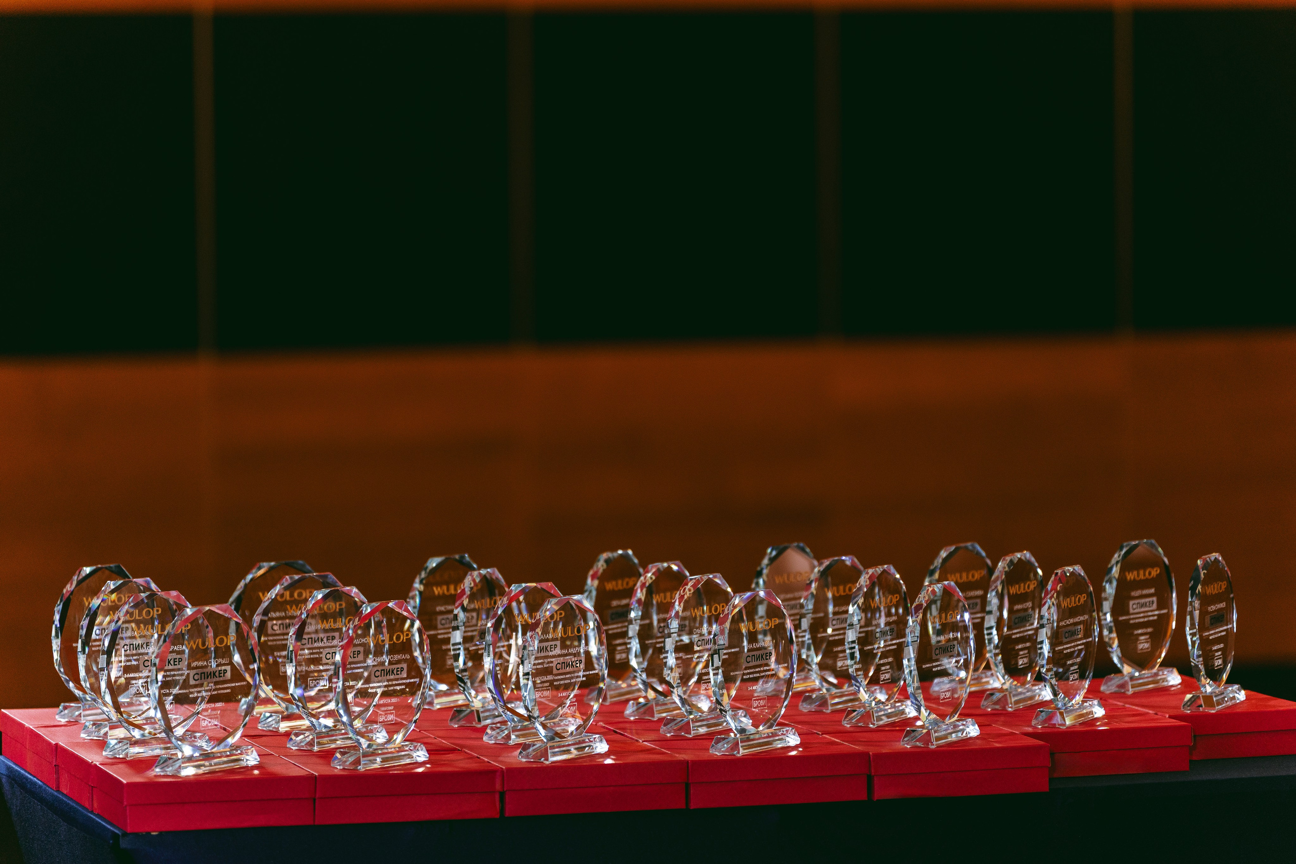 WULOP RUSSIA 2022. Корпоративный, имиджевый и промышленный фотограф — Максим Меш