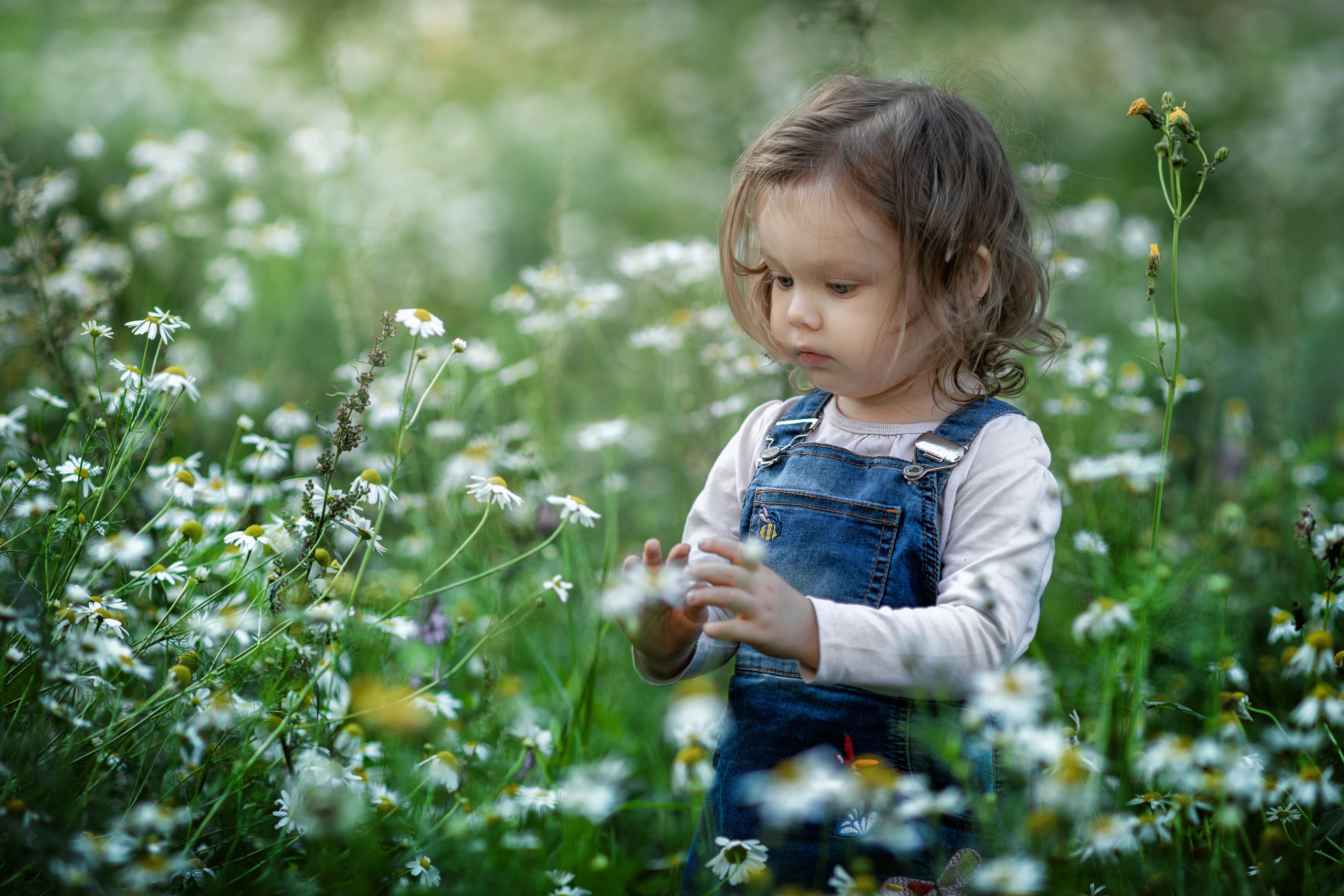 маленькая девочка в джинсовом сарафане среди ромашек